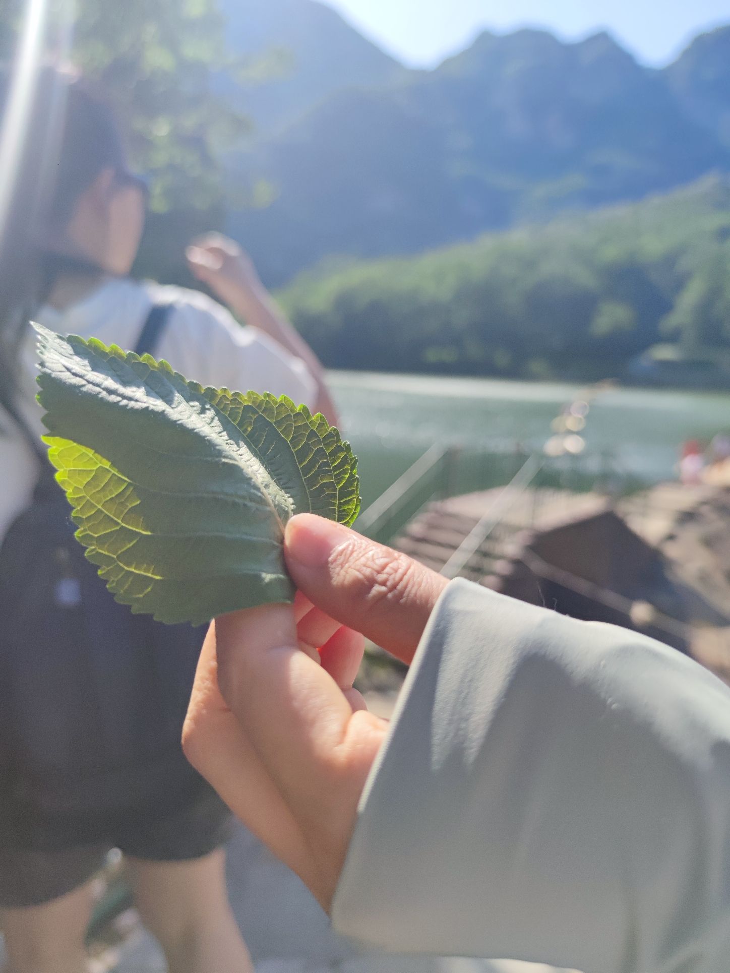 大连冰峪省级旅游度假区(暂停开放)旅行图片 3