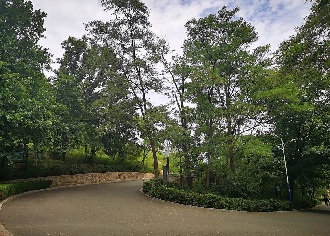 西山公园旅行图片 2