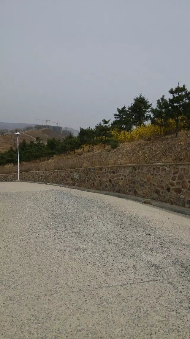 西山公园旅行图片 3