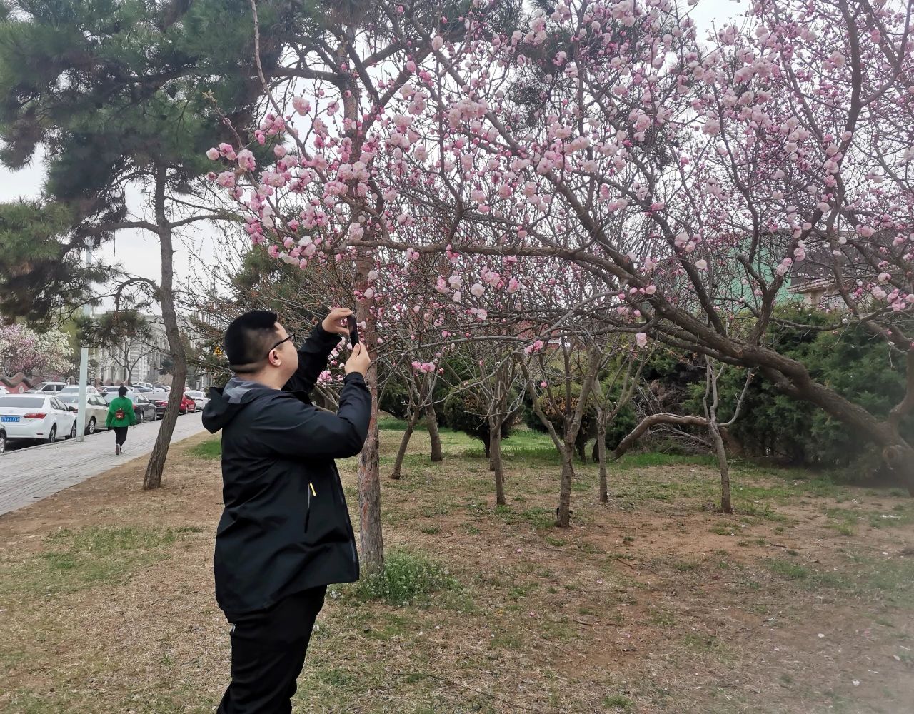 南山公园旅行图片 3