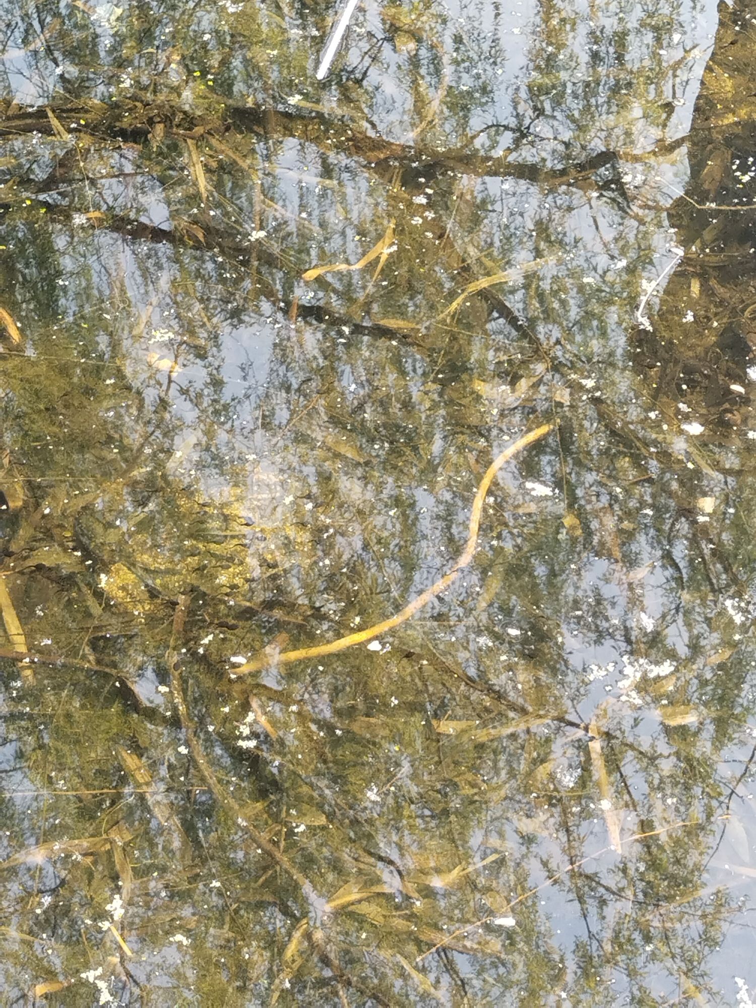 南山公园旅行图片 1