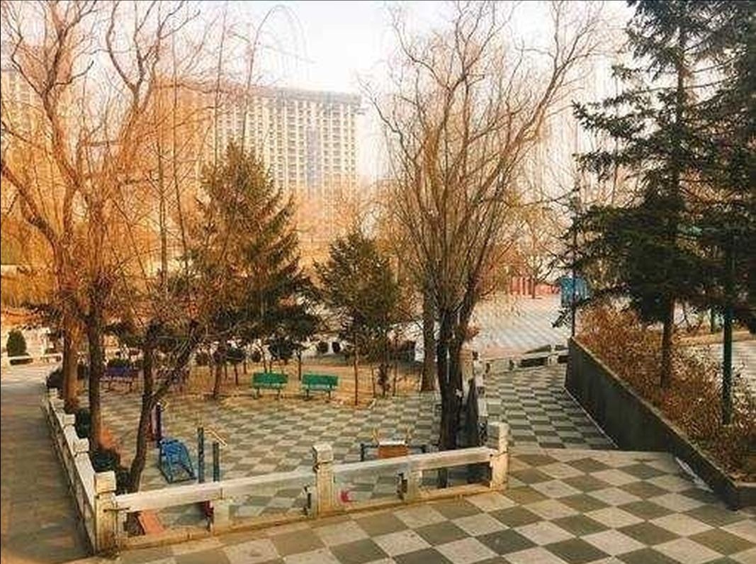 南山公园旅行图片 1