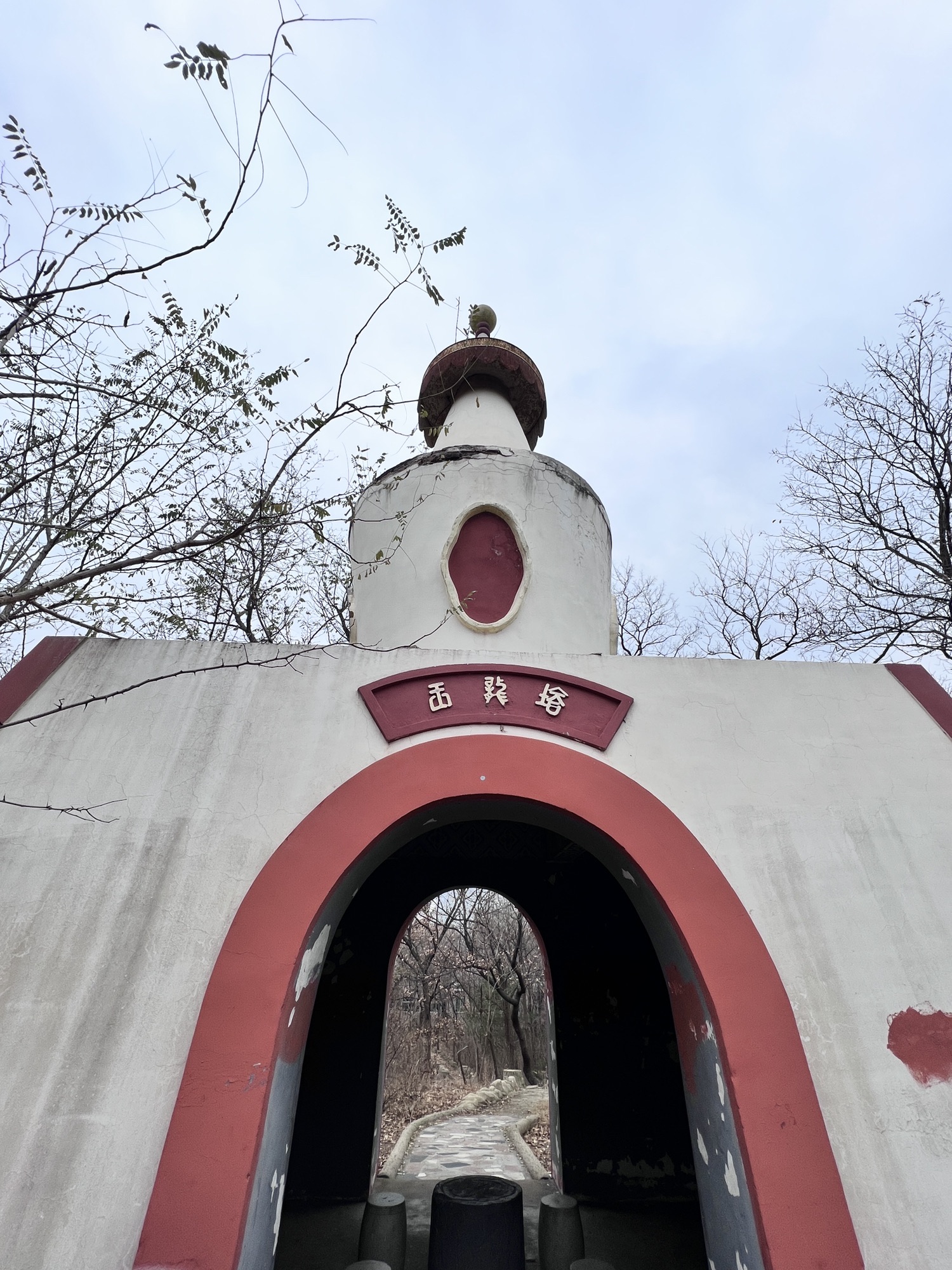 南山公园旅行图片 1