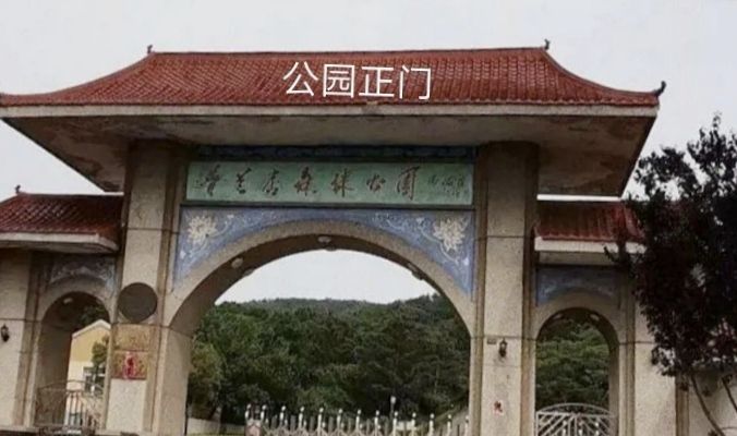 二龙山国家森林公园旅行图片 3