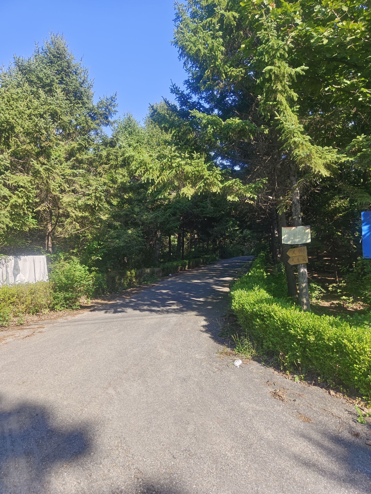 二龙山国家森林公园旅行图片 3
