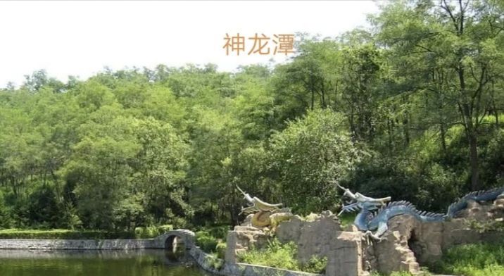 二龙山国家森林公园旅行图片 1