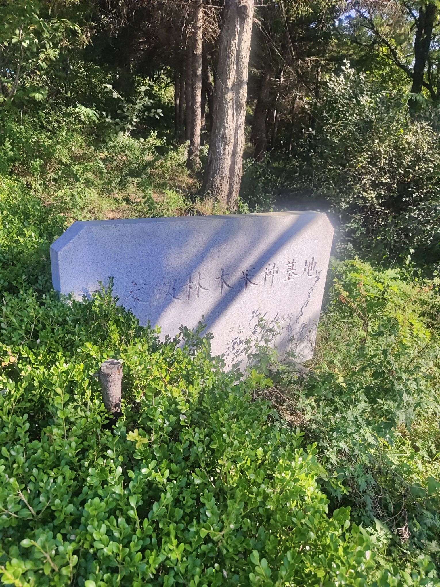 二龙山国家森林公园旅行图片 2