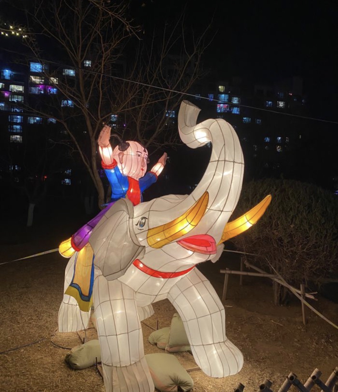 向应公园旅行图片 2
