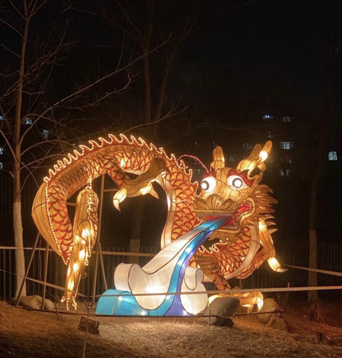 向应公园旅行图片 1