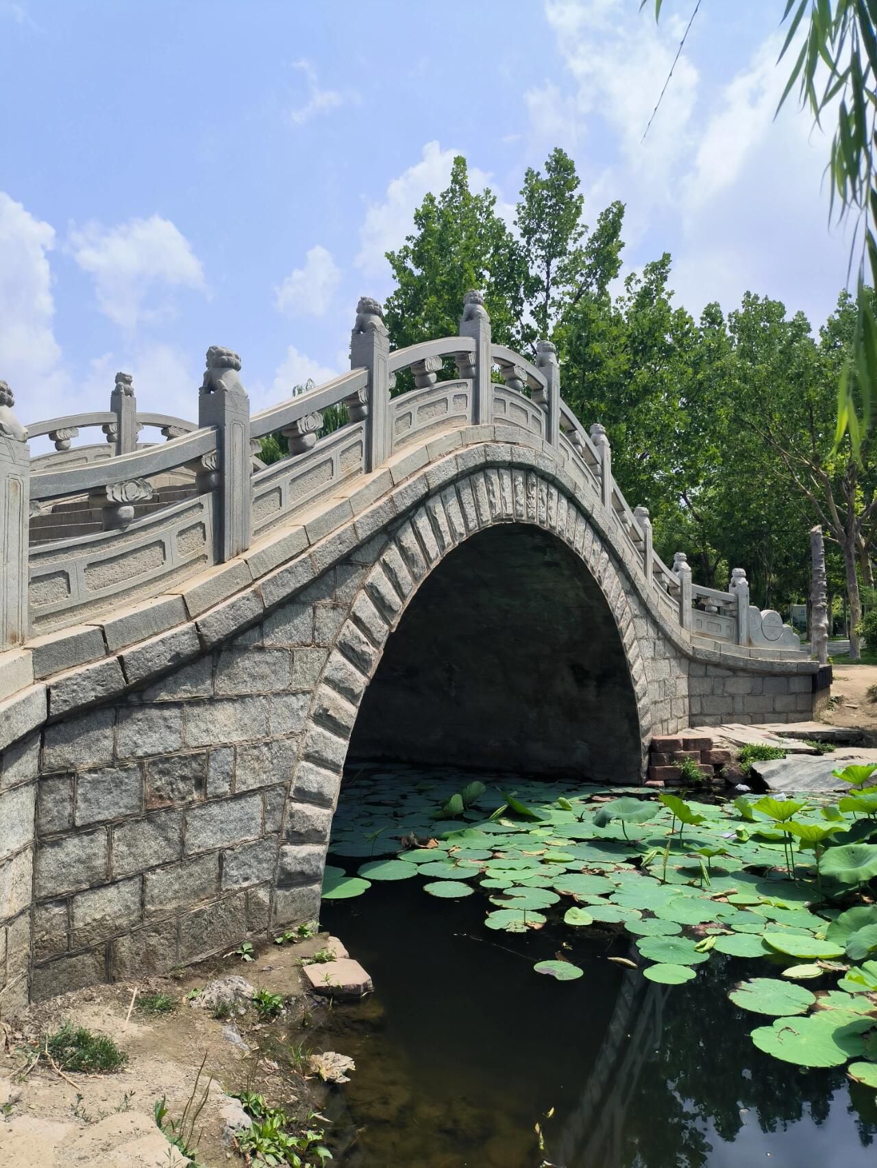 向应公园旅行图片 3