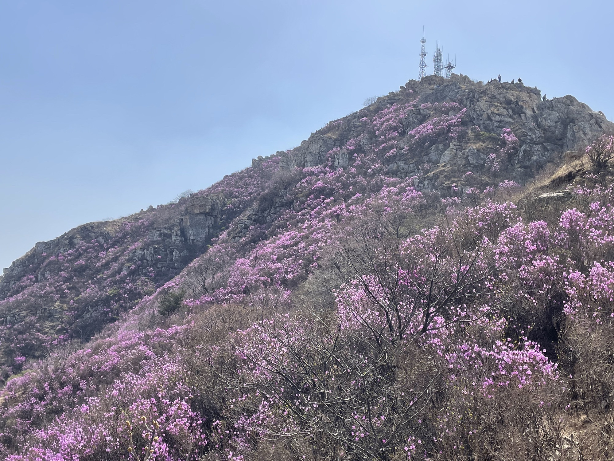 大黑山景区旅行图片 1
