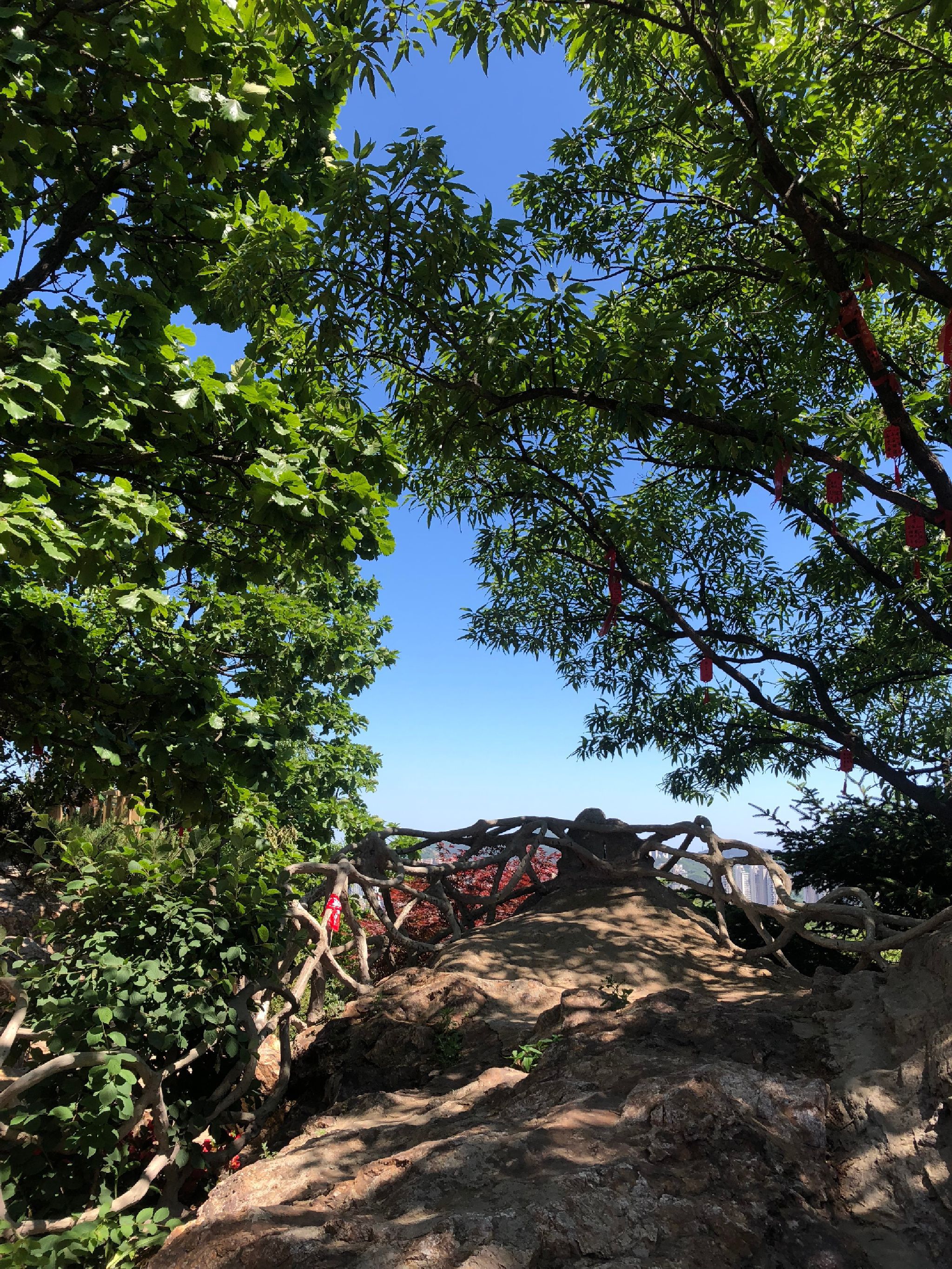 童牛岭风景区旅行图片 3