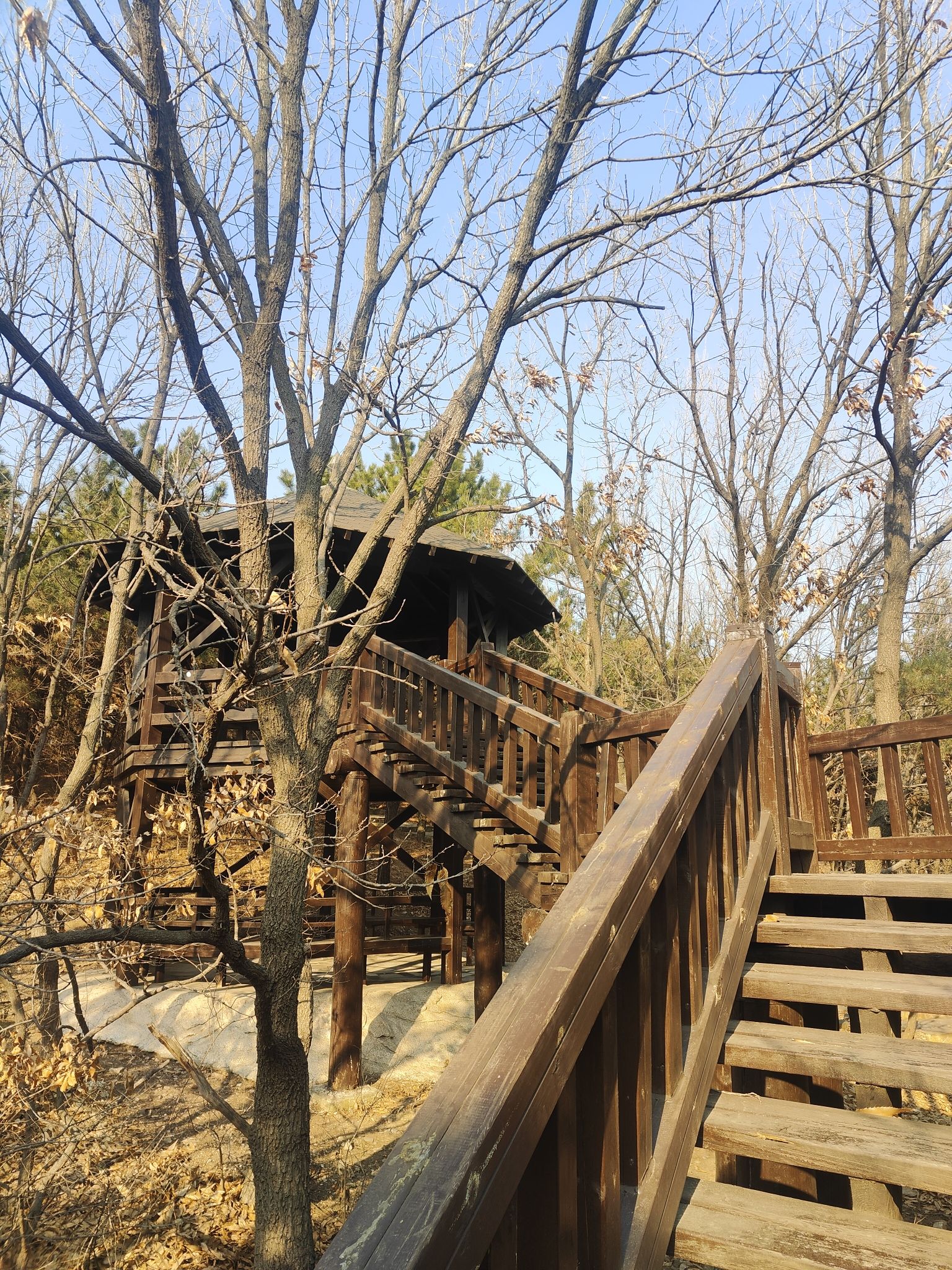 童牛岭风景区旅行图片 3