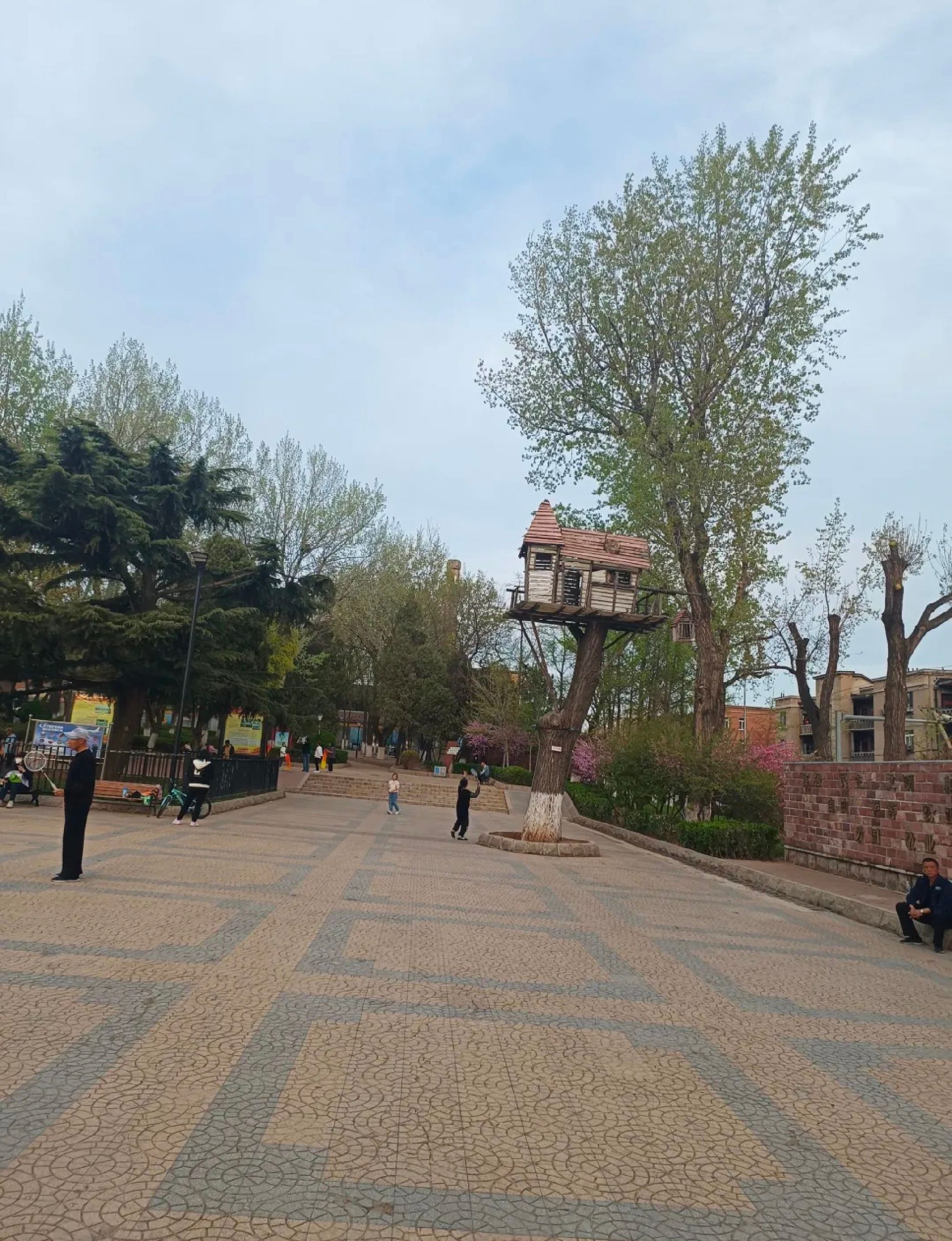 金家街公园旅行图片 1