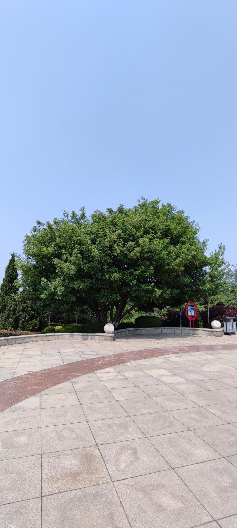 枣园旅行图片 2