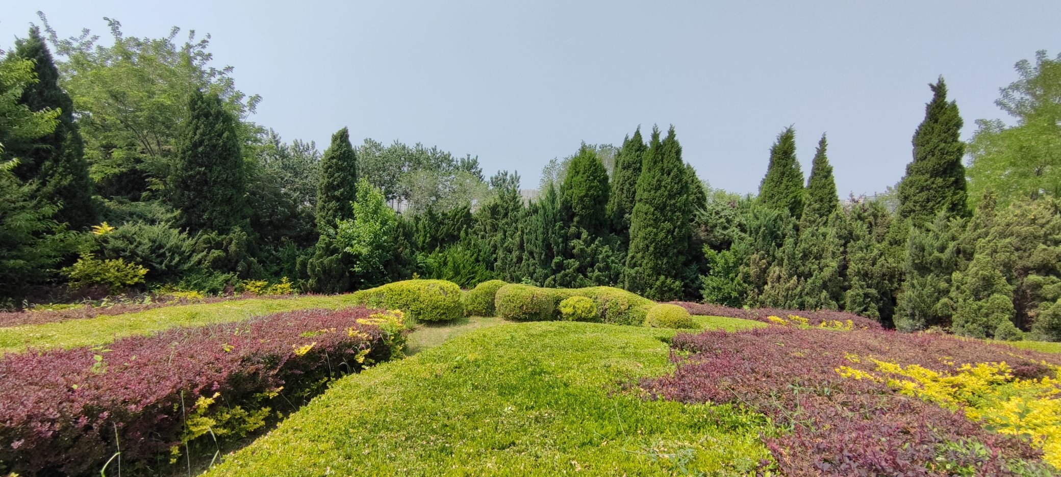 枣园旅行图片 1