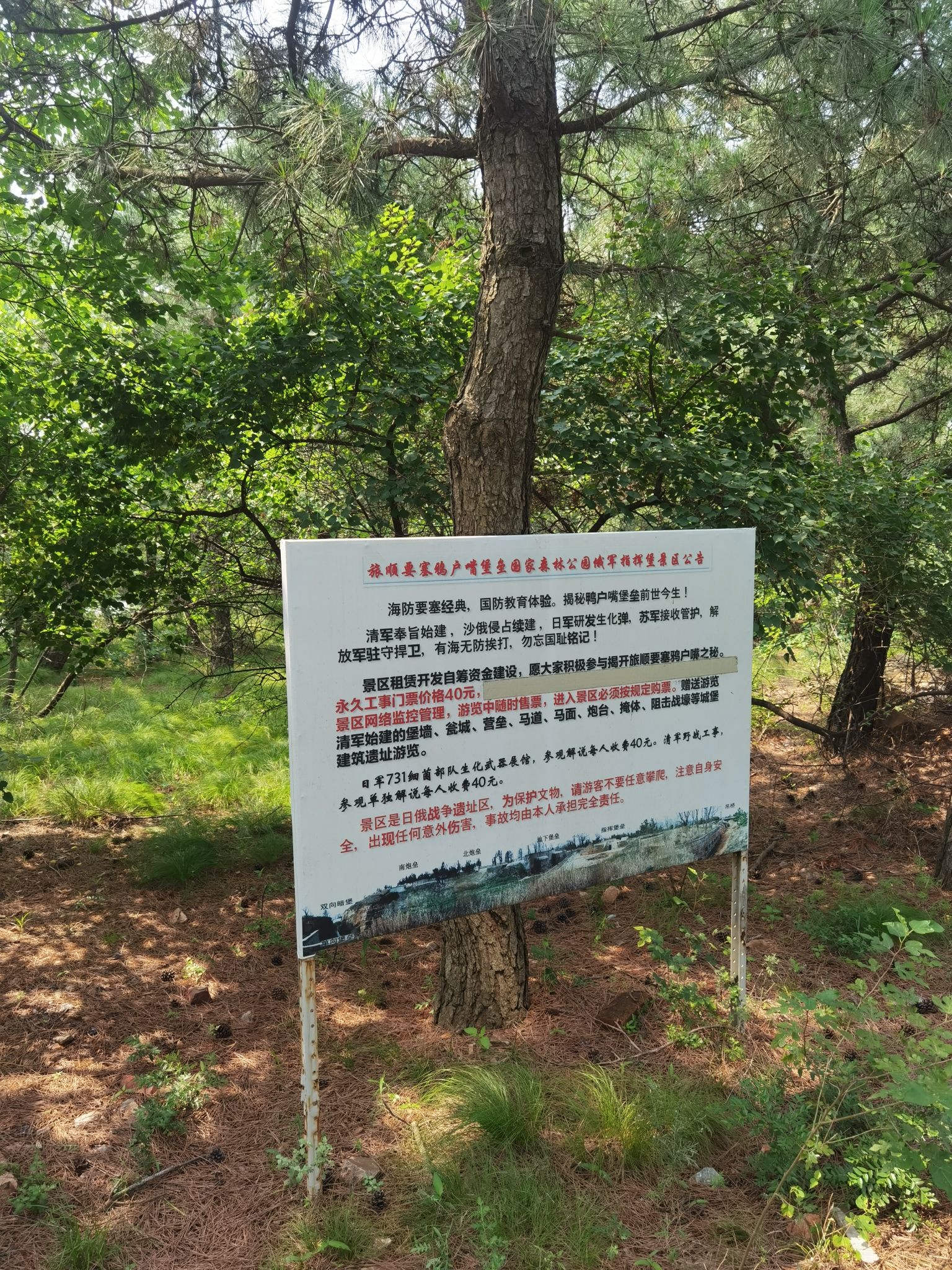 旅顺要塞鸦户嘴堡垒国家森林公园俄军指挥堡景区旅行图片 3