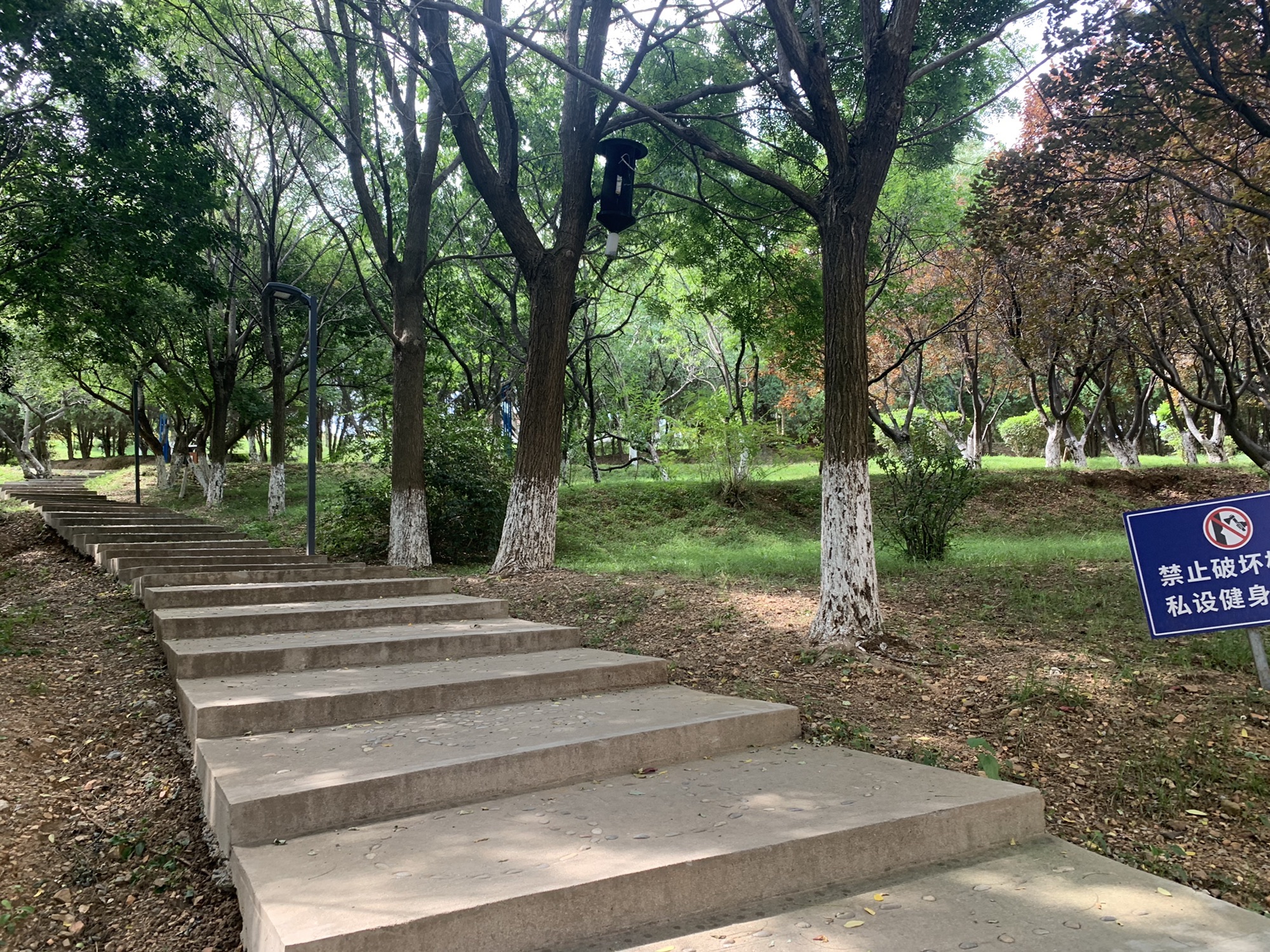 迎春公园旅行图片 2