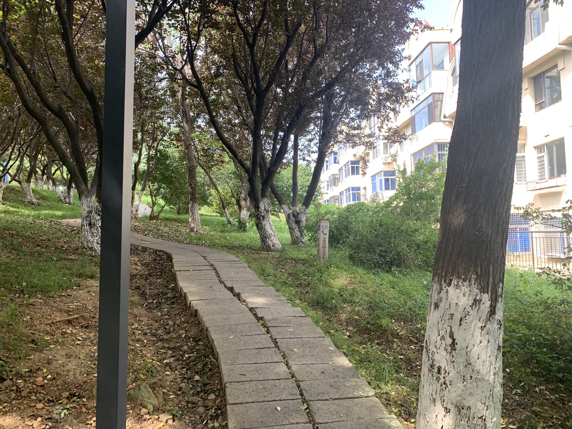 迎春公园旅行图片