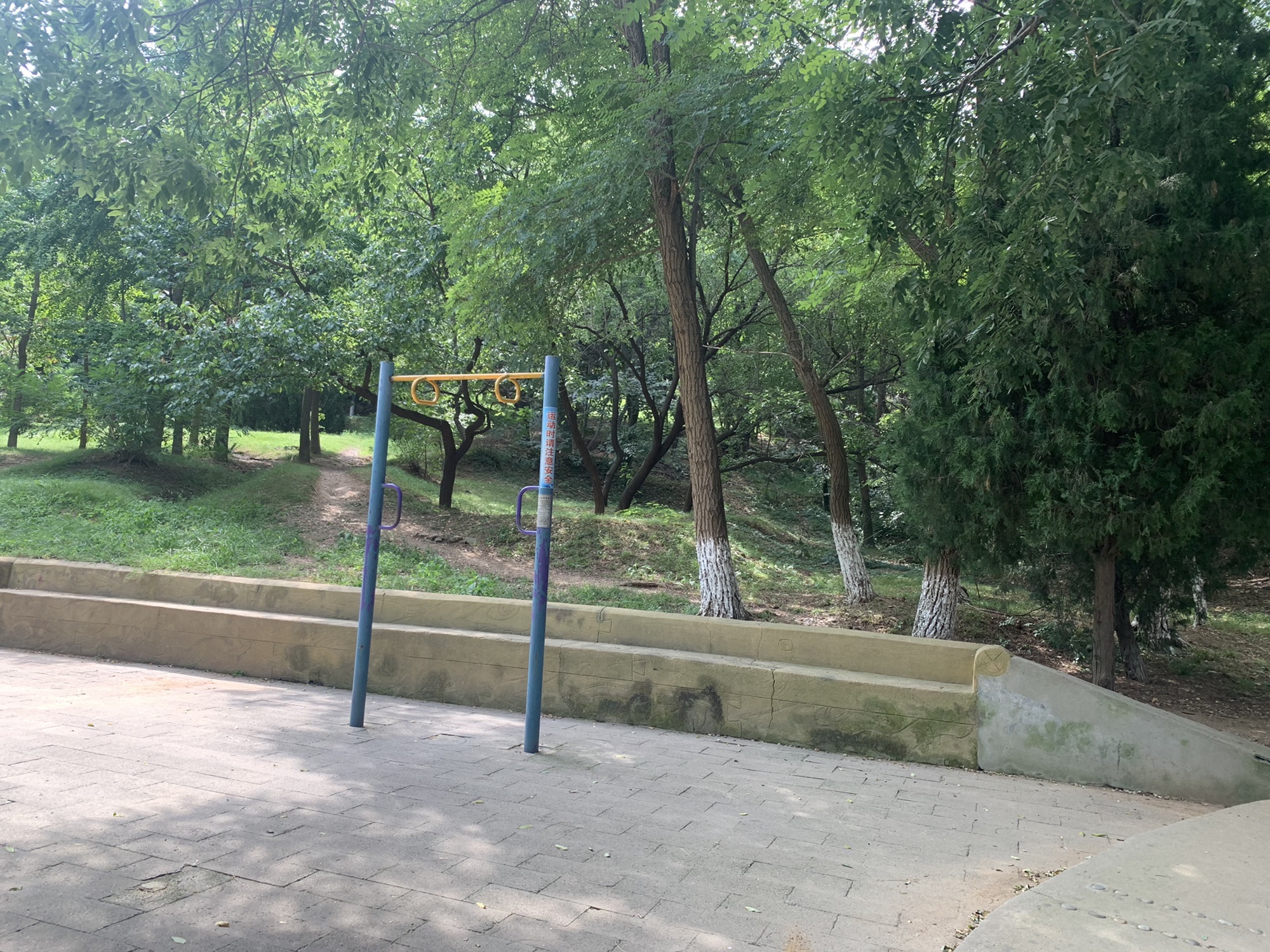 迎春公园旅行图片 3
