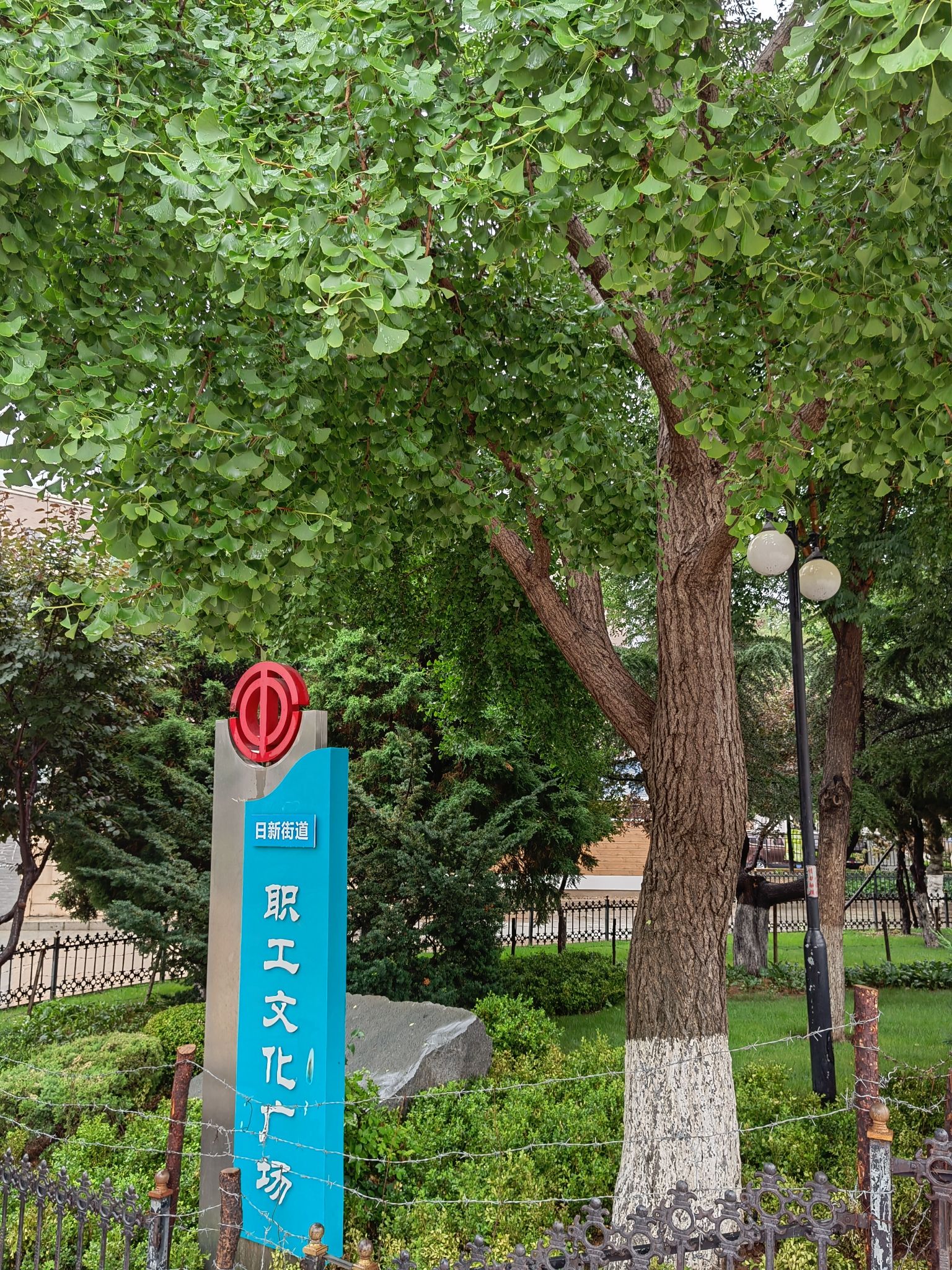 北海公园旅行图片 2