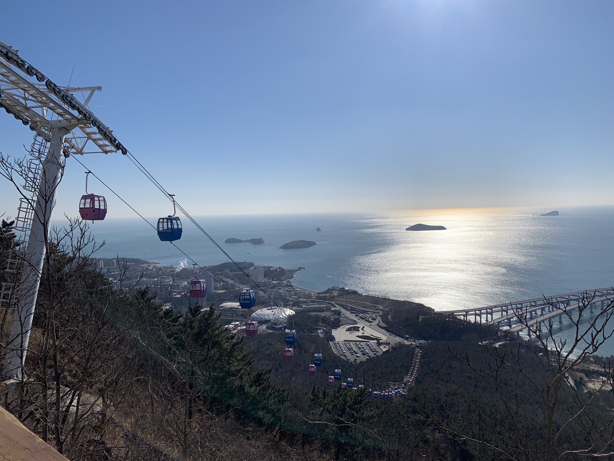 莲花山公园旅行图片 3