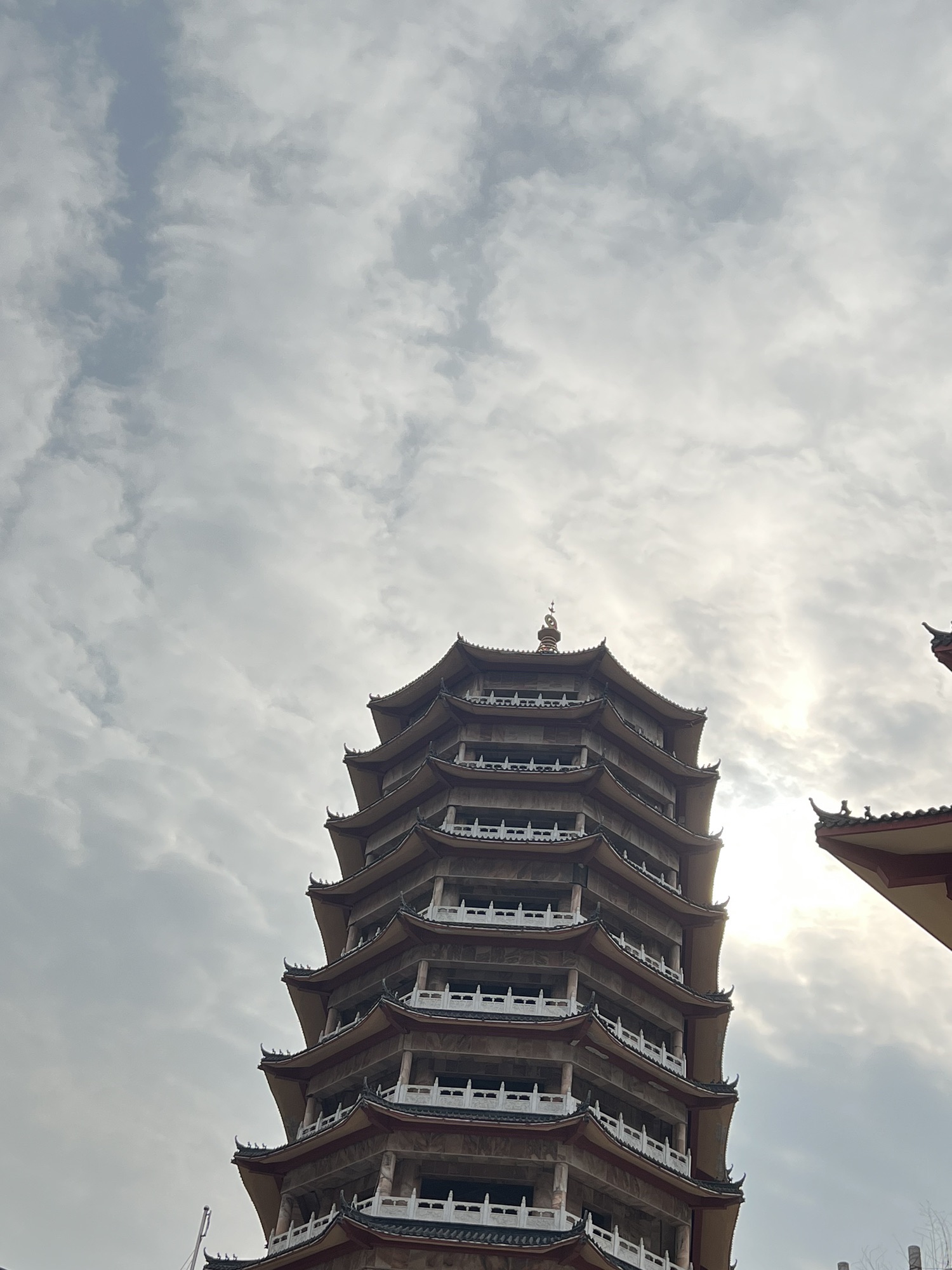 莲花山公园旅行图片 3