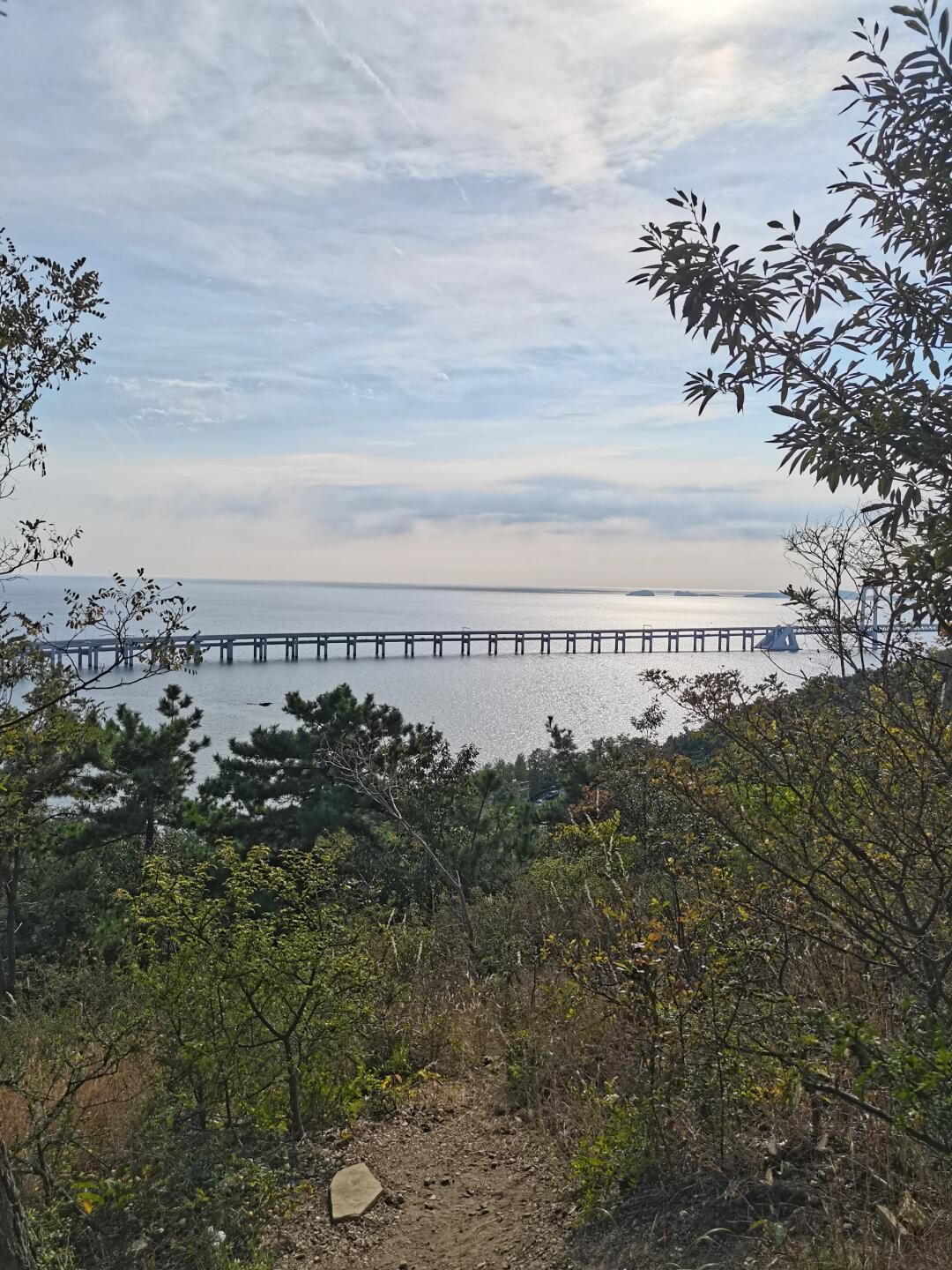 莲花山公园旅行图片 2