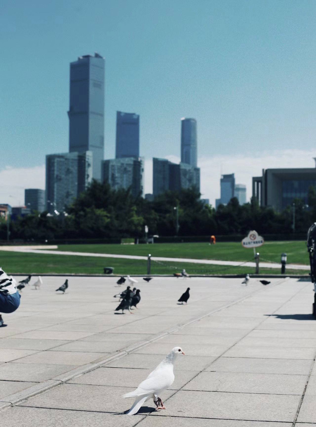 人民广场旅行图片 1