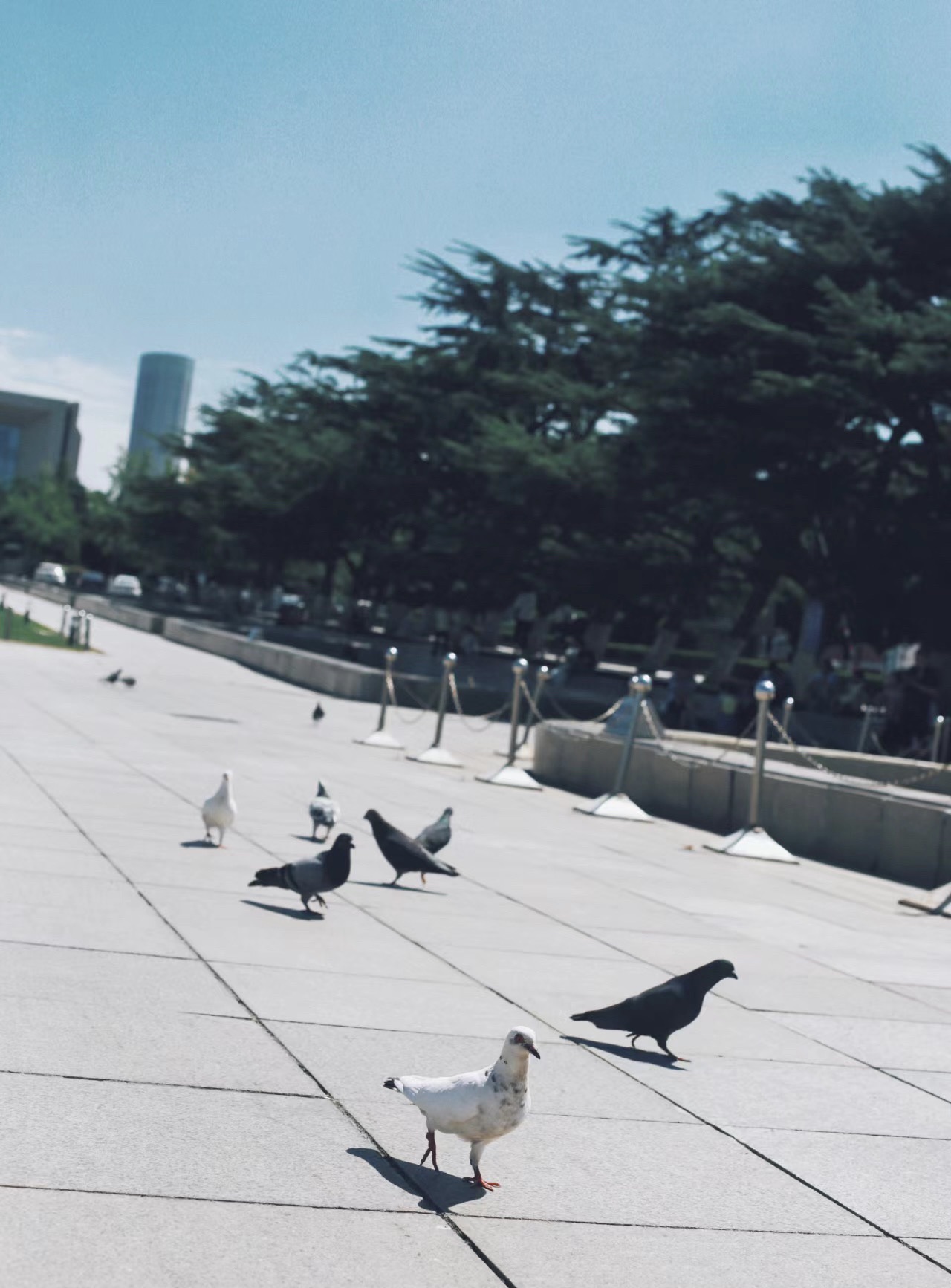 人民广场旅行图片 2