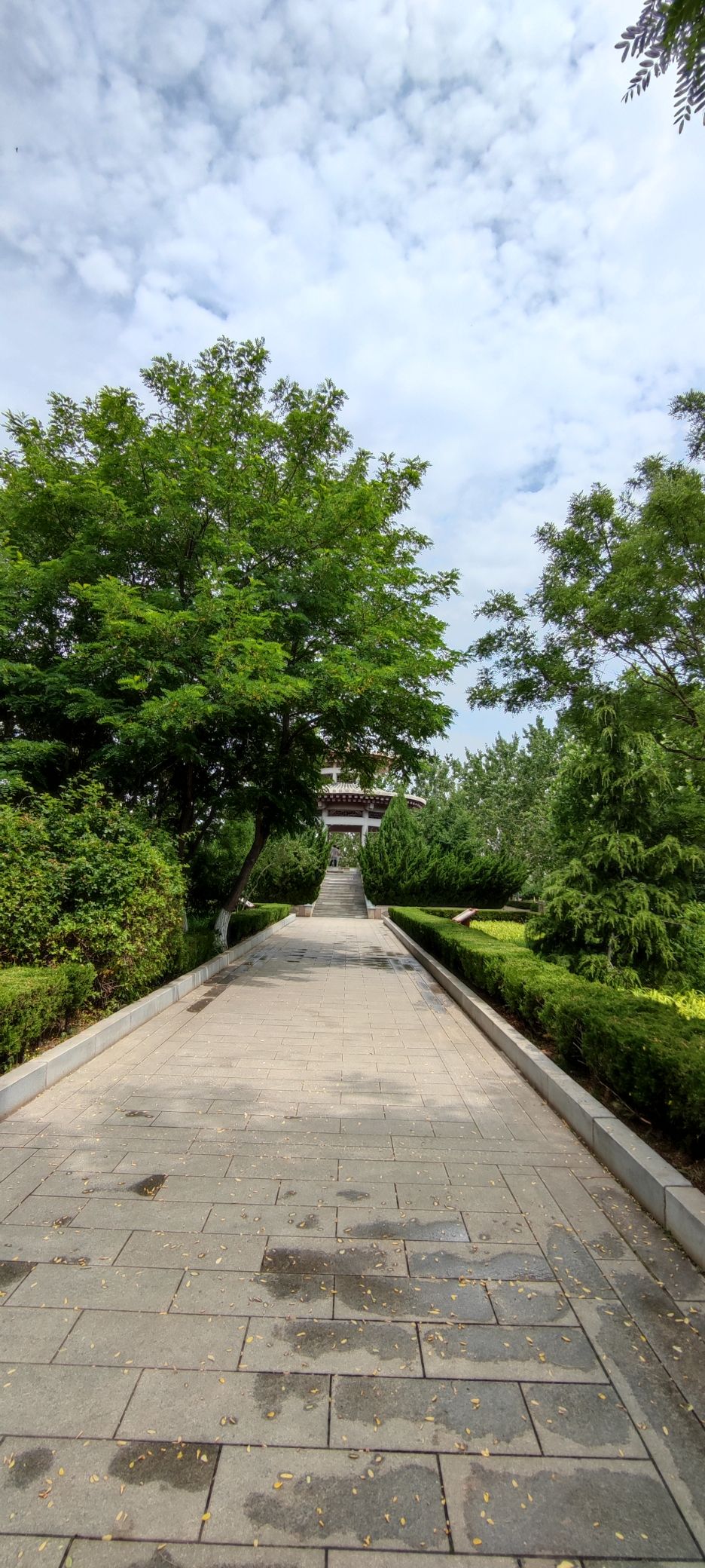 锦泉公园旅行图片 2