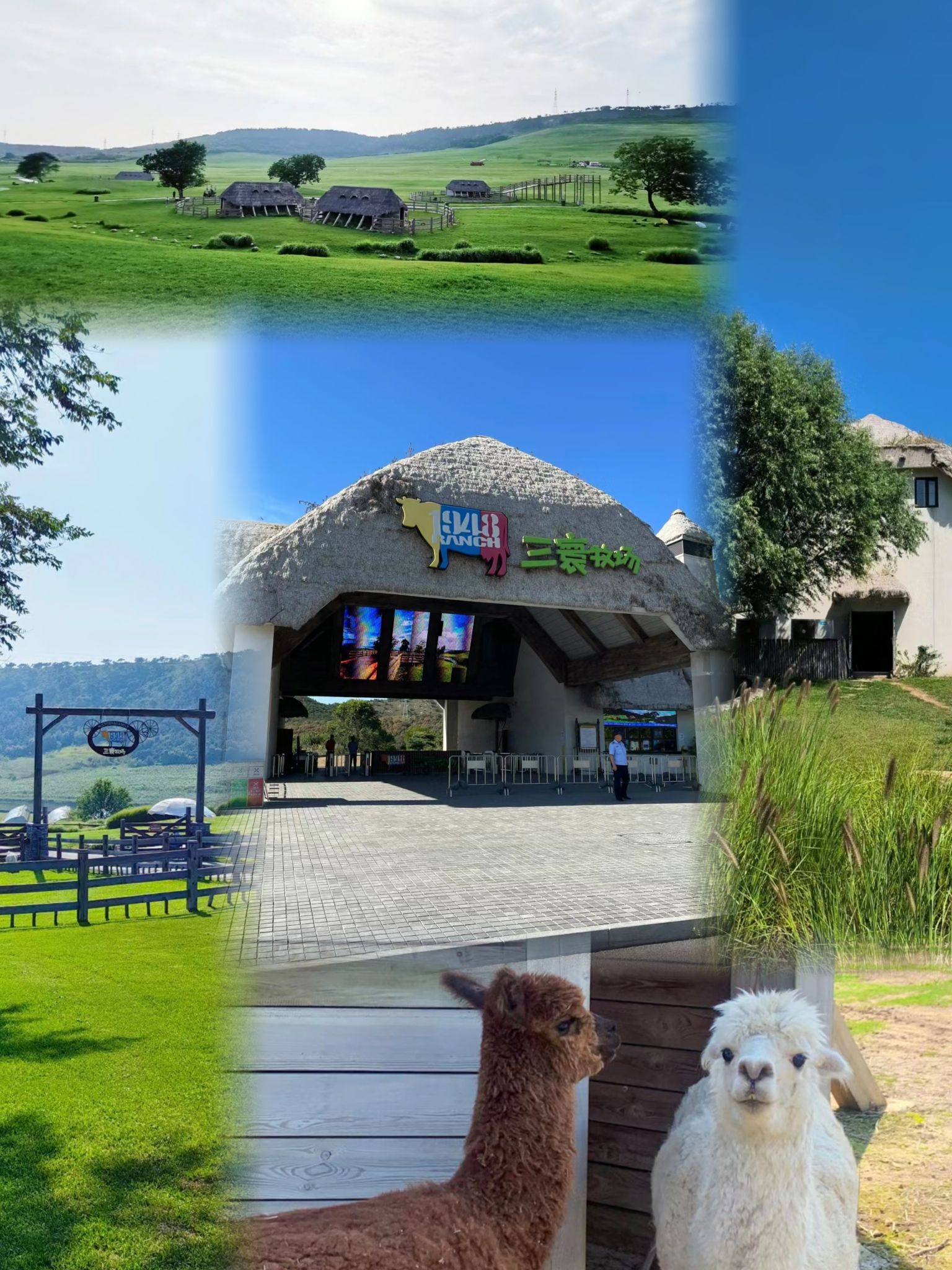 三寰牧场旅行图片 1