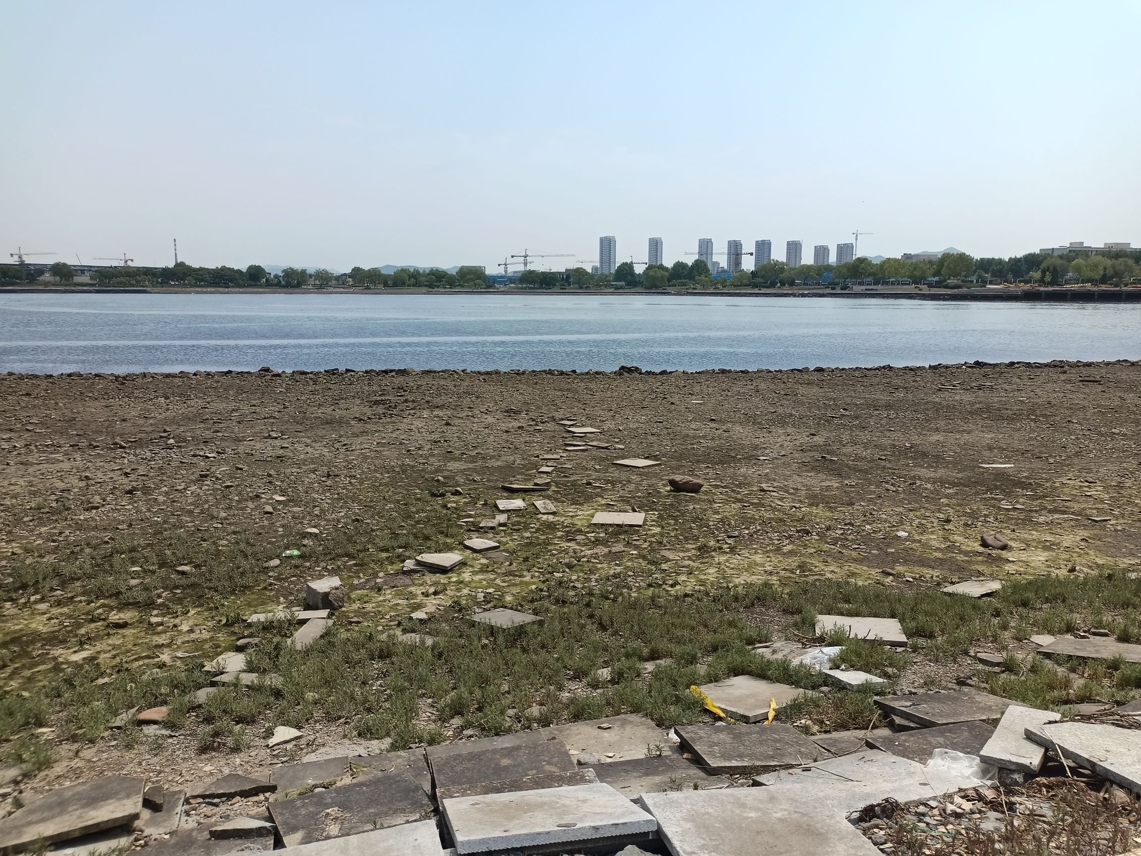 数字湖公园旅行图片 3