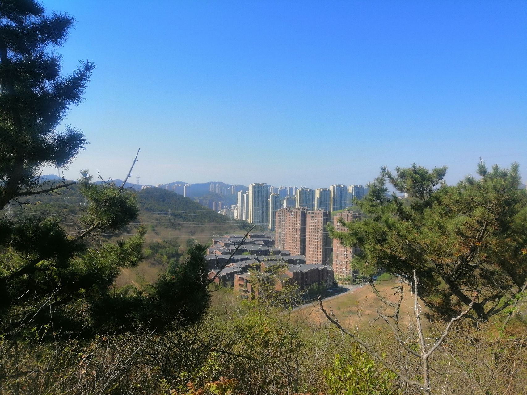 景山近邻公园旅行图片 1