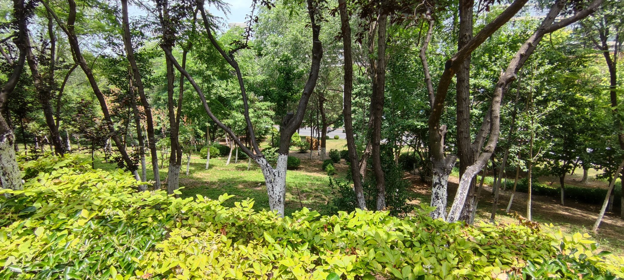 Love山体公园旅行图片 2