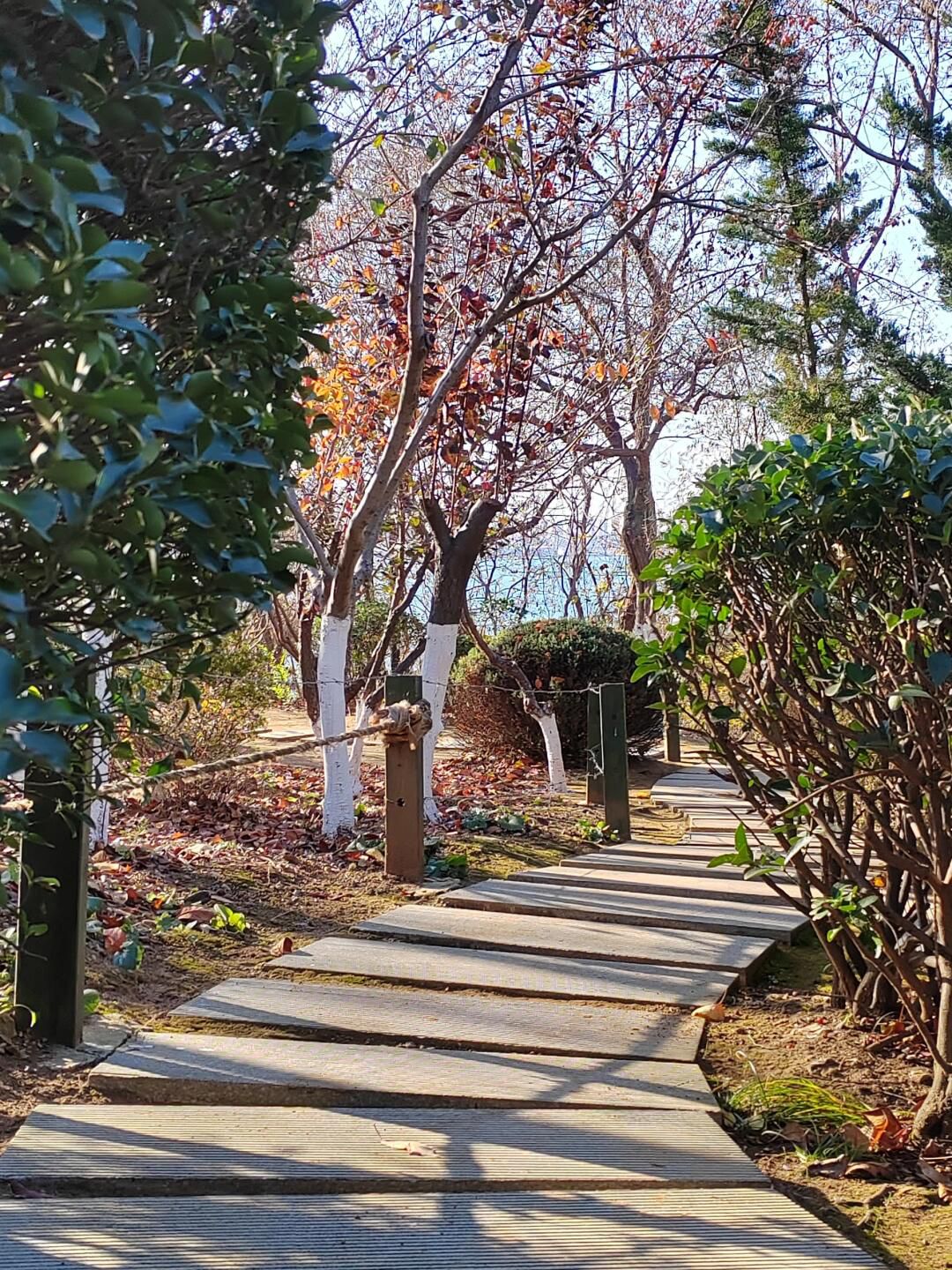 Love山体公园旅行图片 3