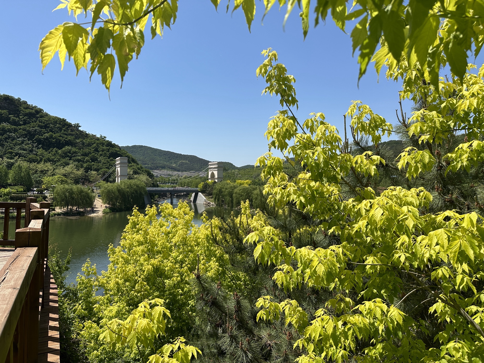 大连西郊国家森林公园旅行图片 1