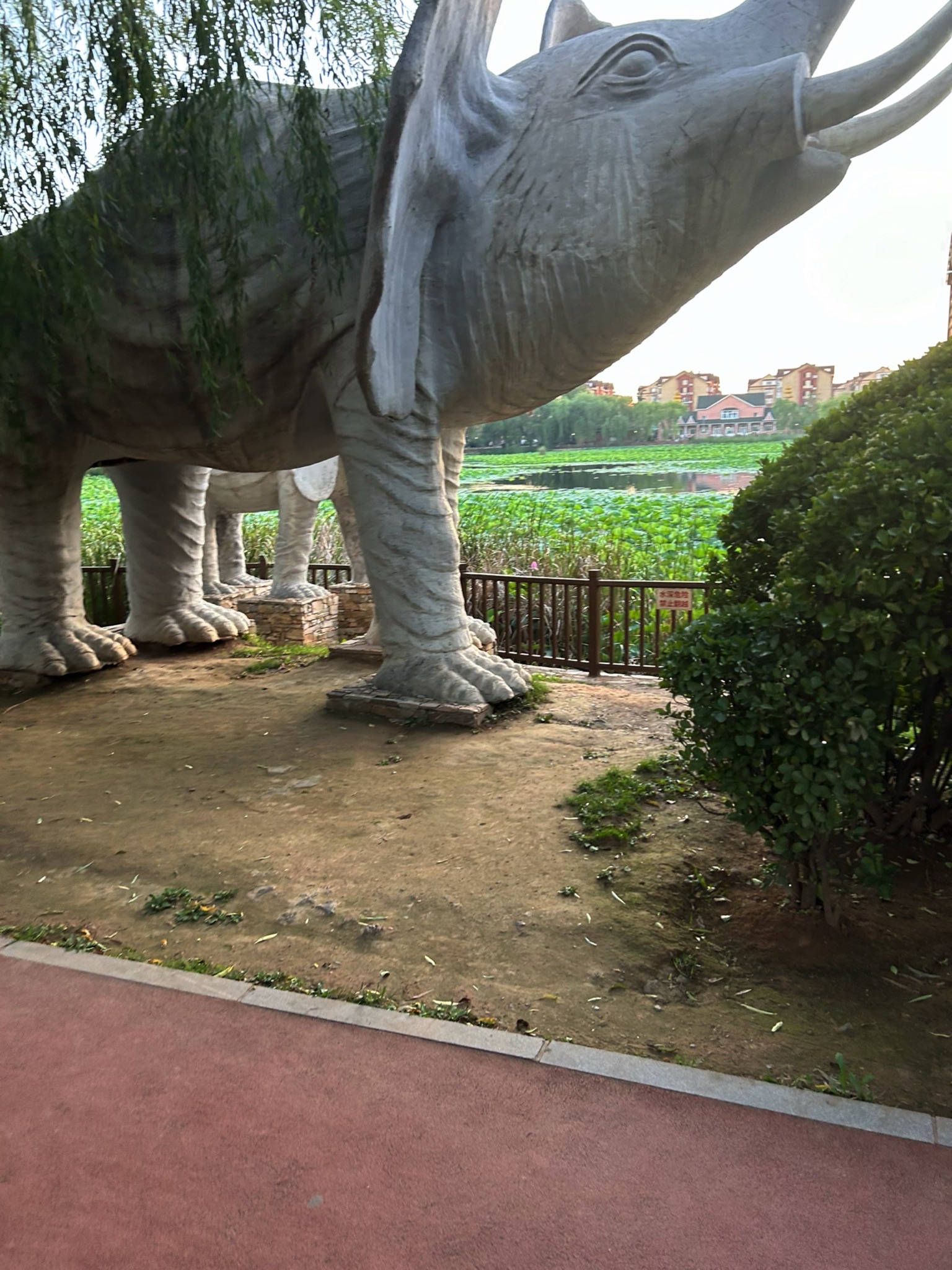 泽龙湖公园旅行图片 1