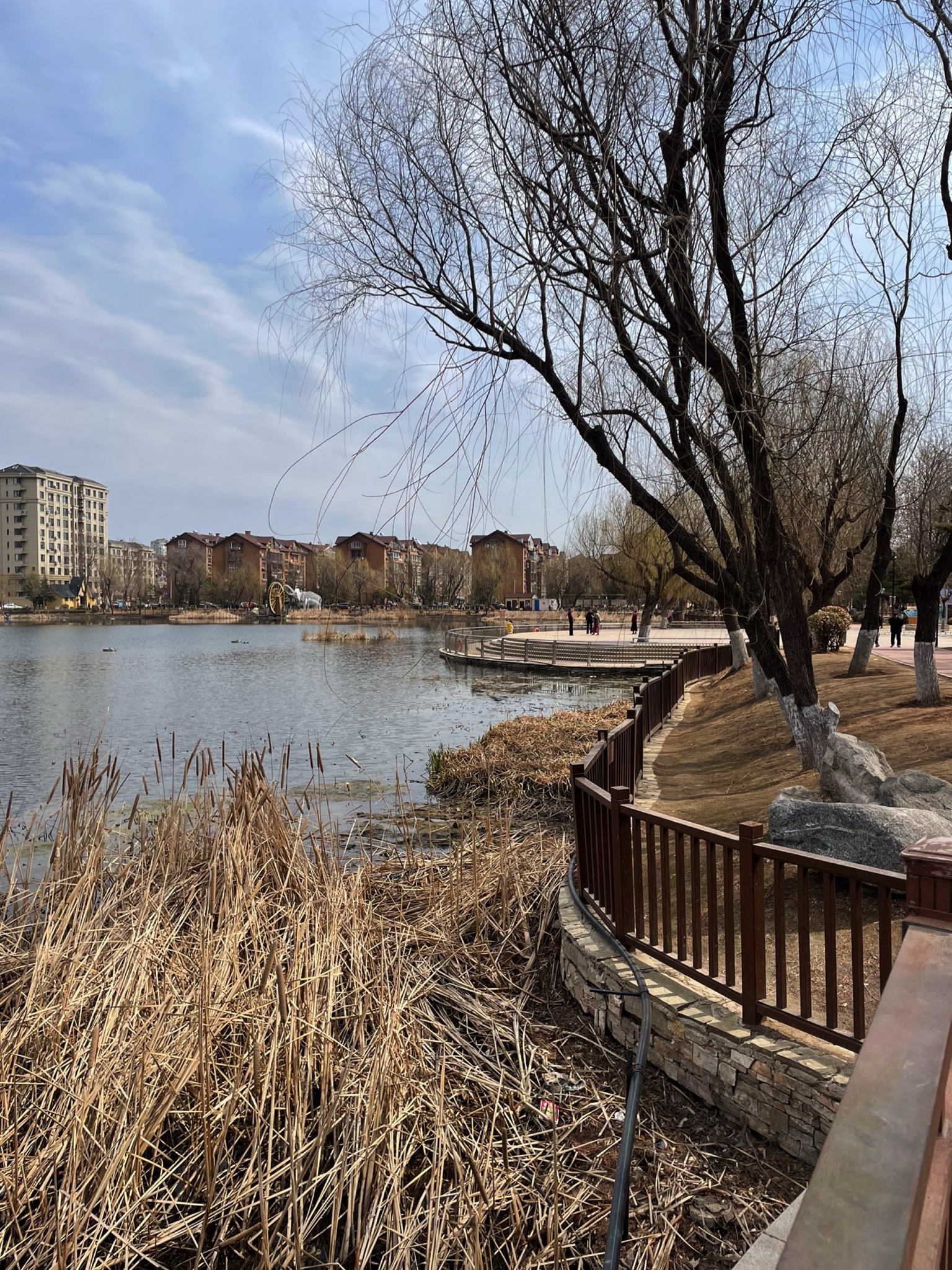 泽龙湖公园旅行图片 2