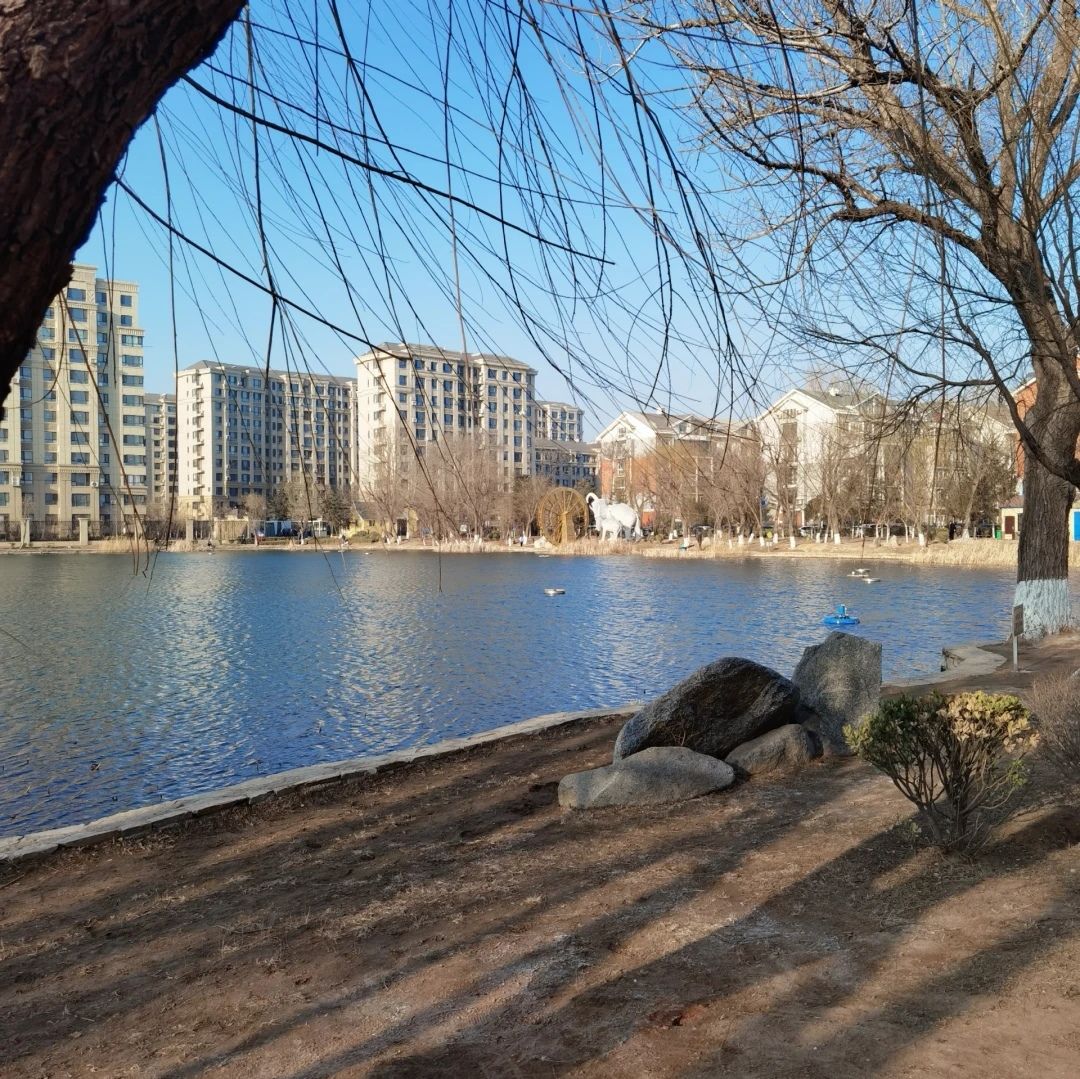 泽龙湖公园旅行图片 3
