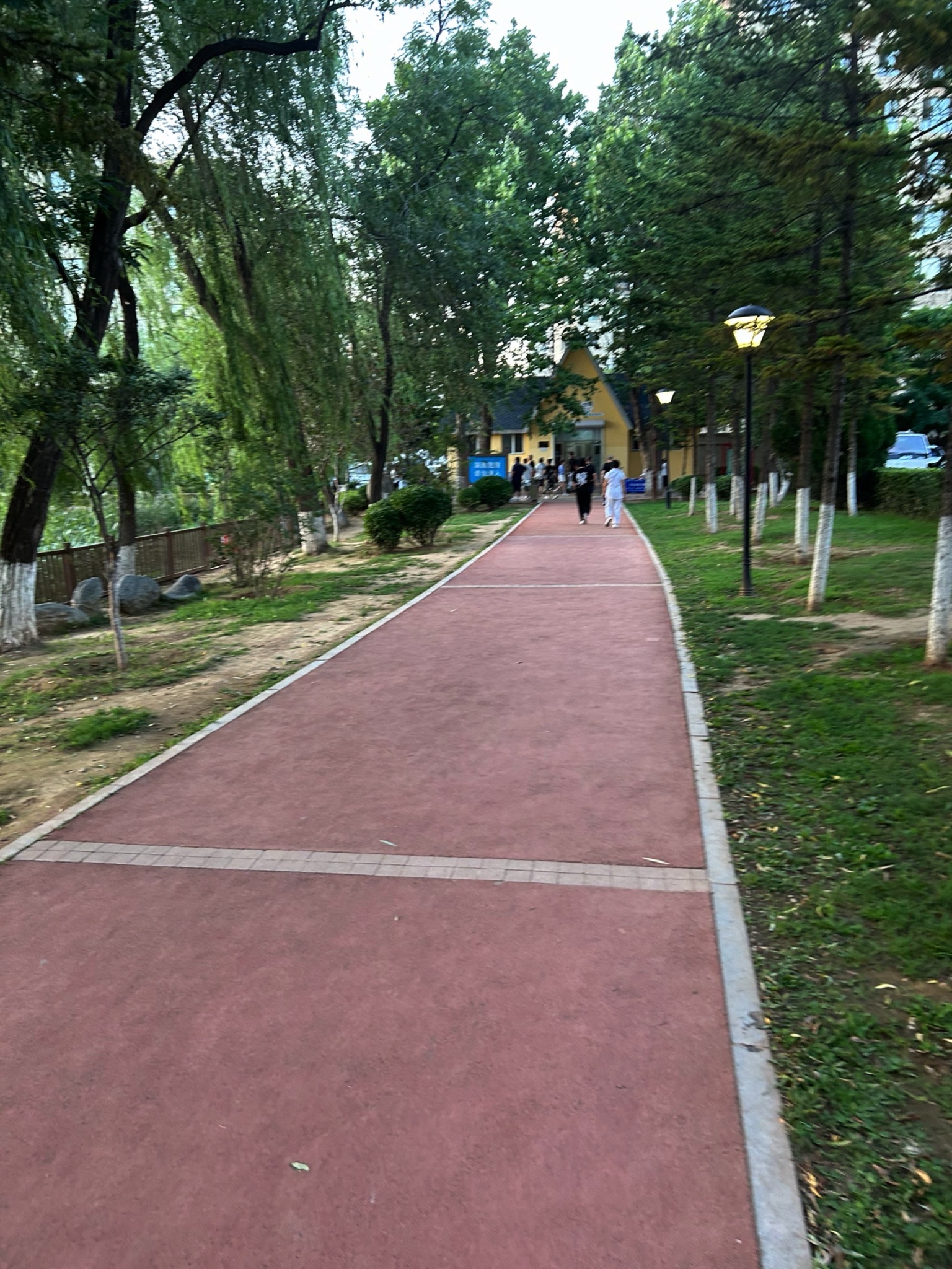 泽龙湖公园旅行图片 2