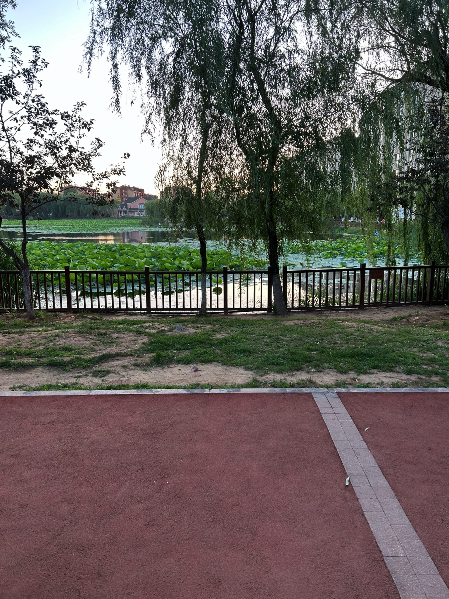 泽龙湖公园旅行图片 3