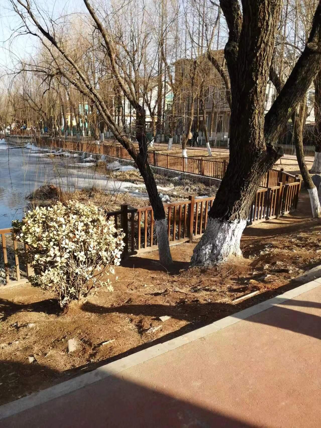 泽龙湖公园旅行图片 1