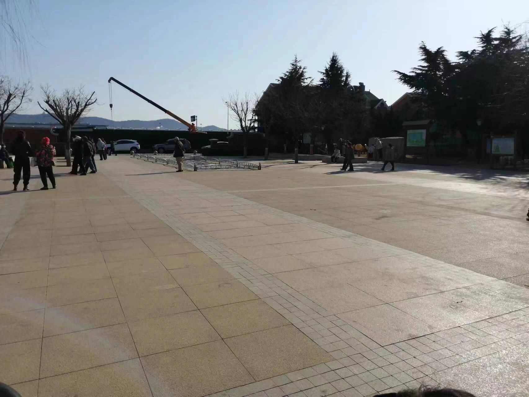 泽龙湖公园旅行图片 3