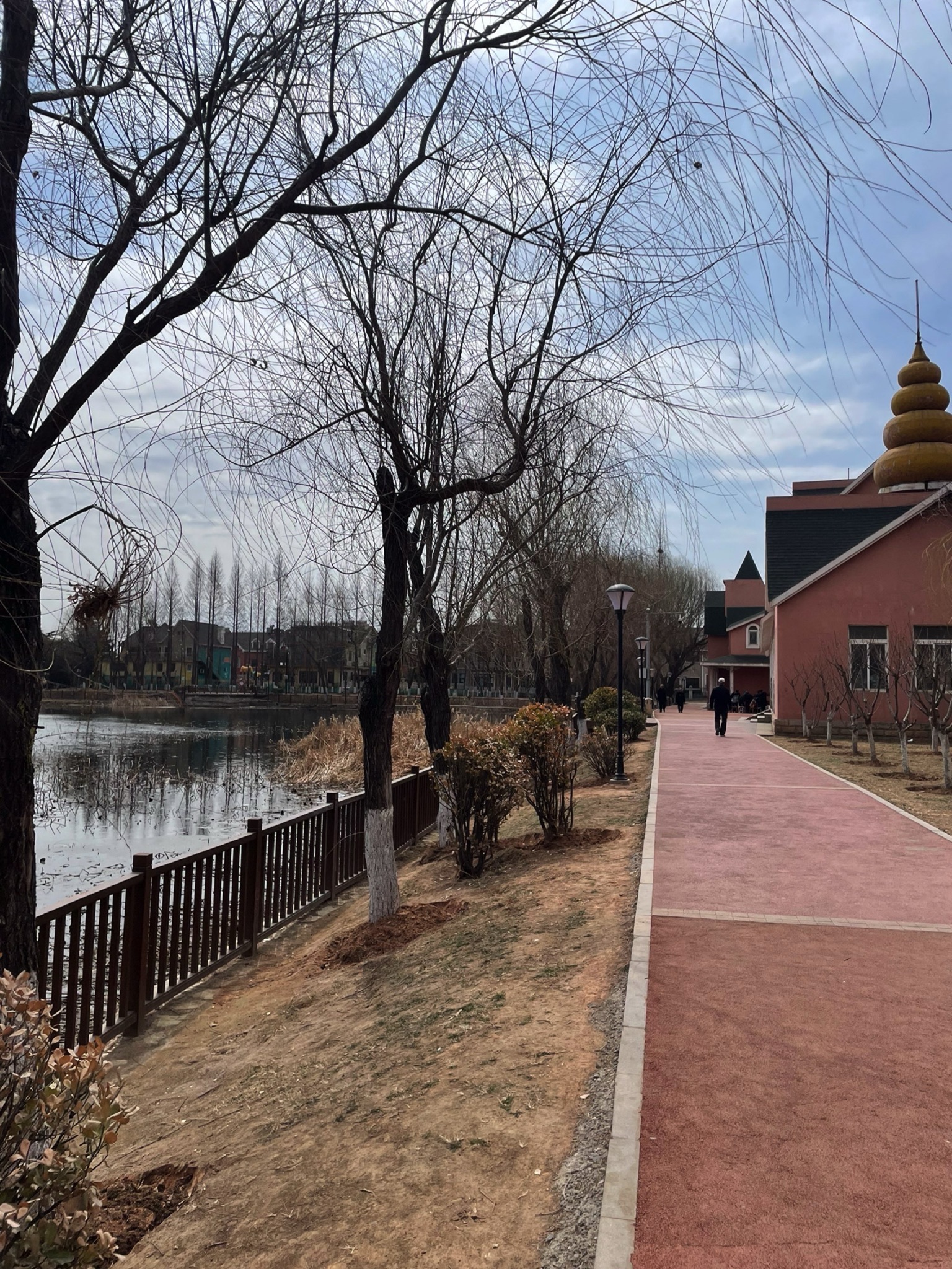 泽龙湖公园旅行图片 3