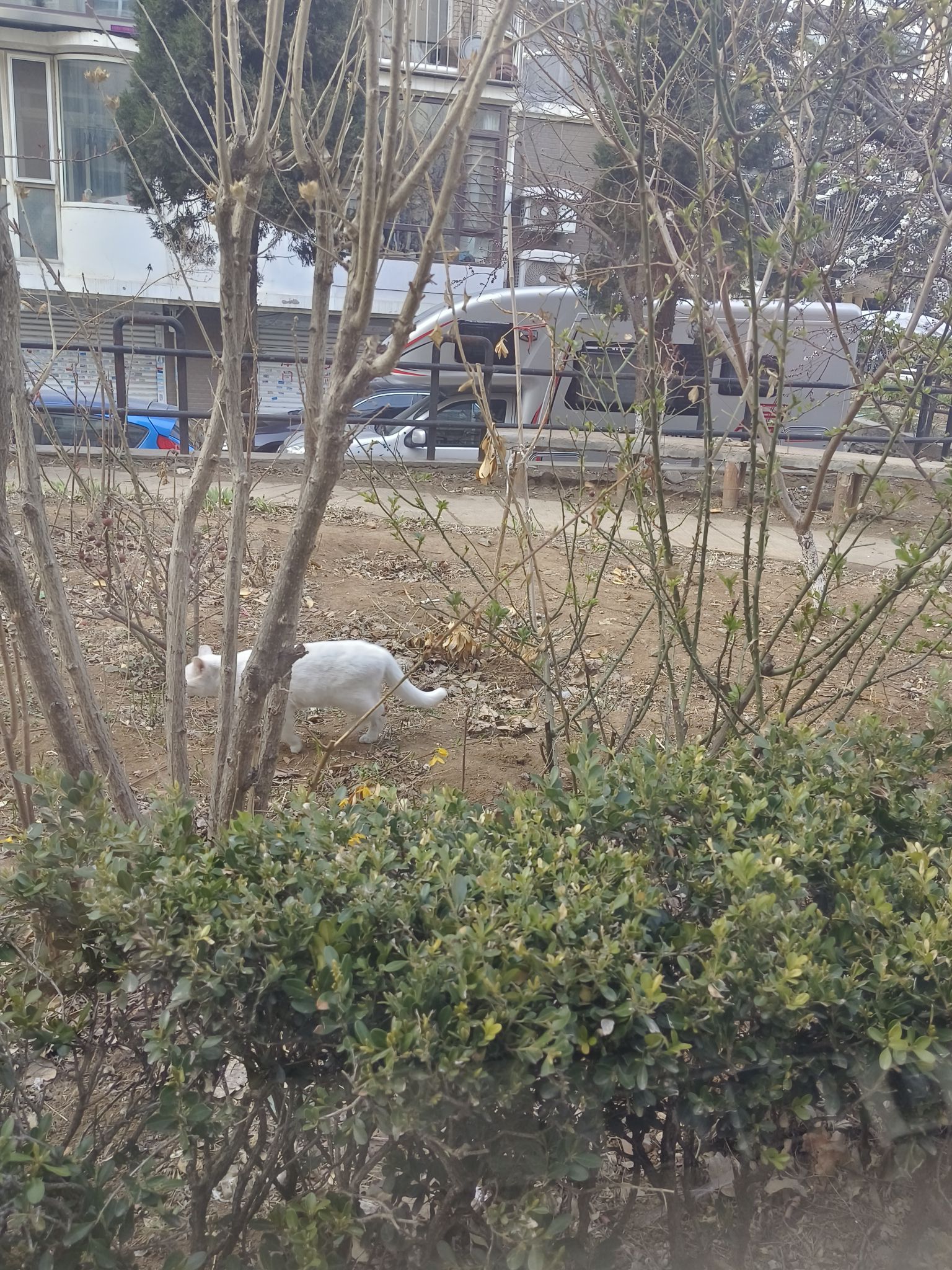 鼎山公园旅行图片 1