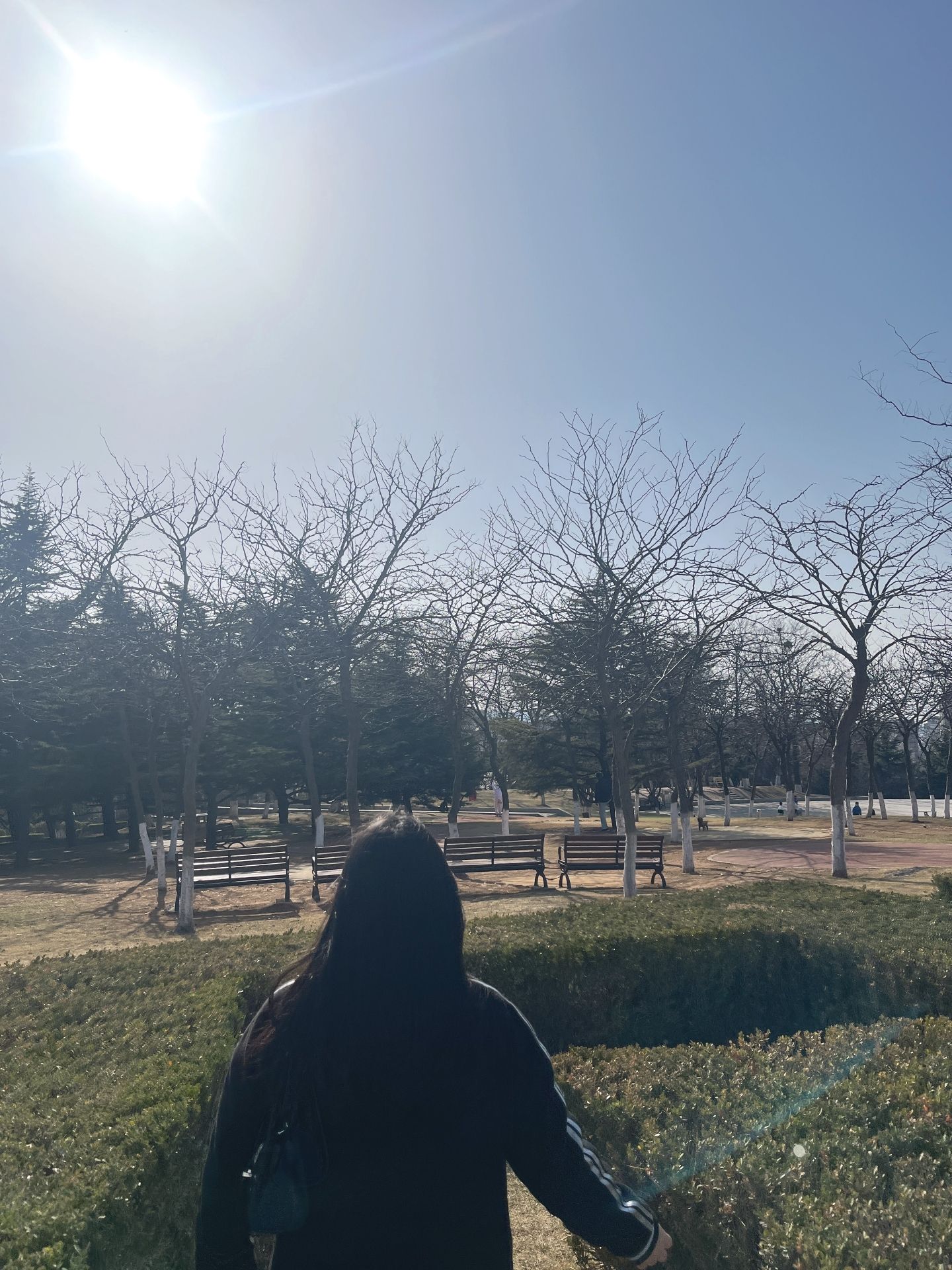 鼎山公园旅行图片 3