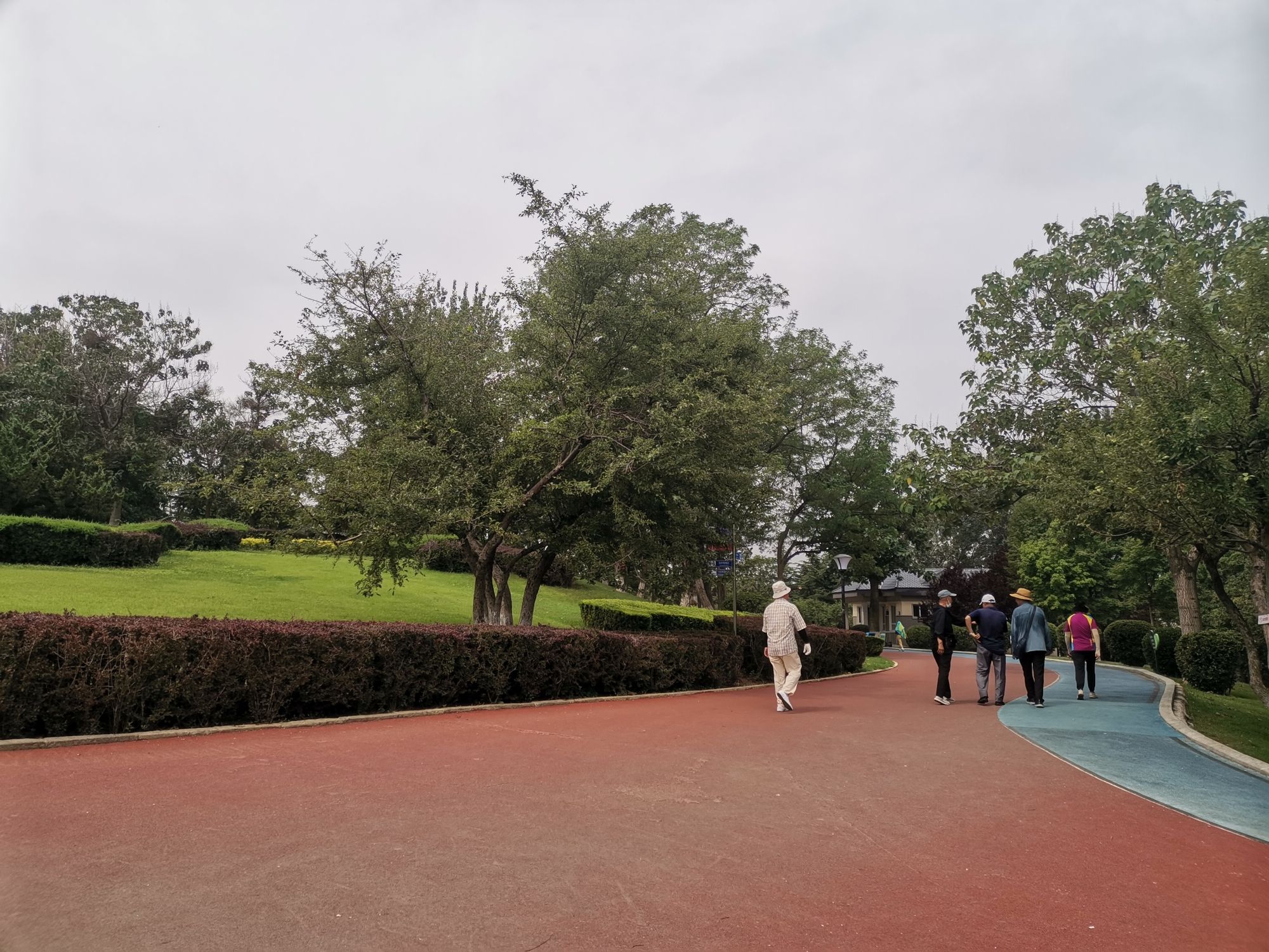 鼎山公园旅行图片 2