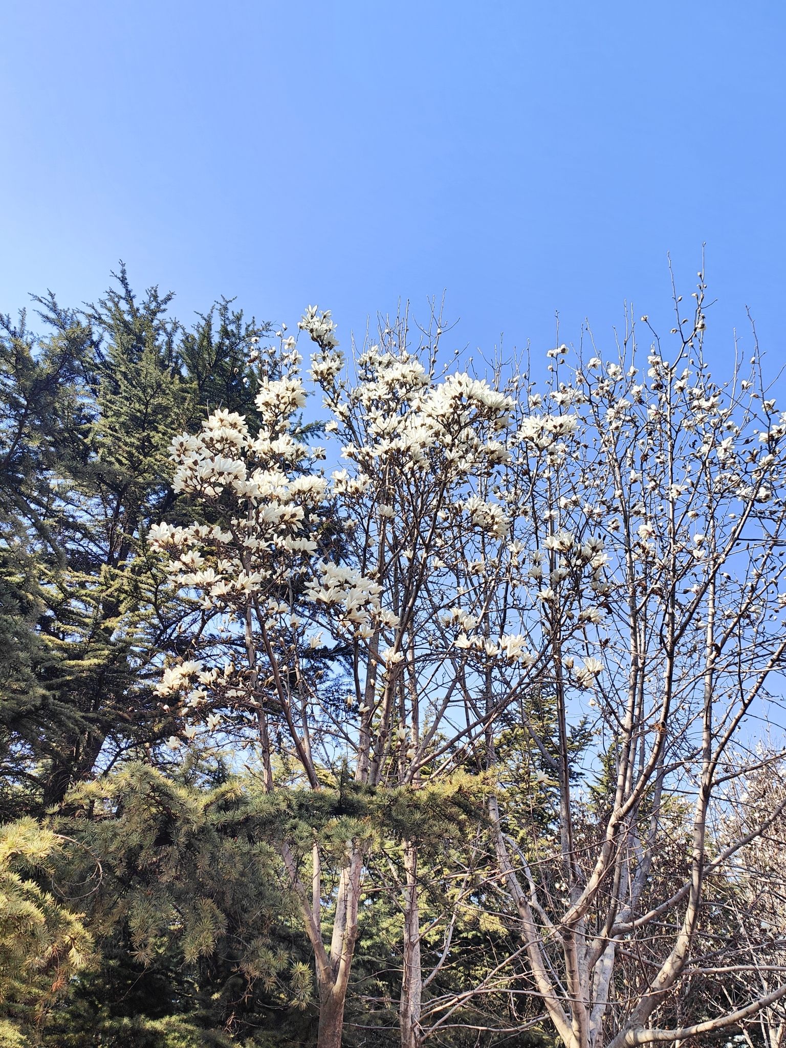 鼎山公园旅行图片 1