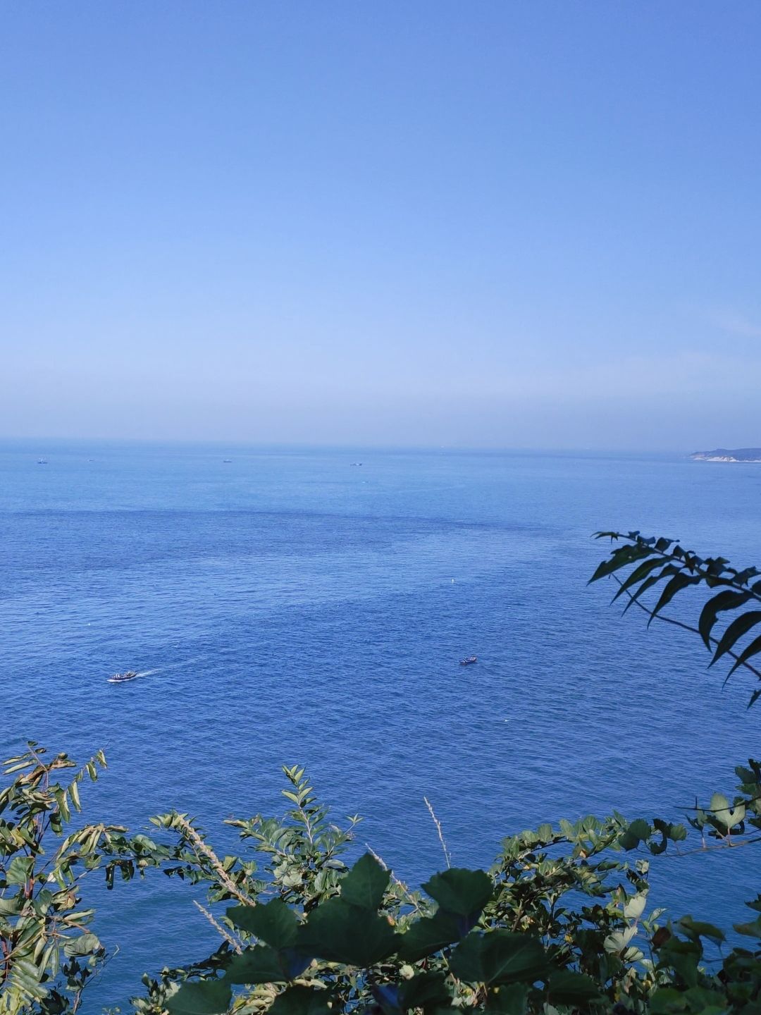 黄渤海分界线旅游风景区旅行图片 3